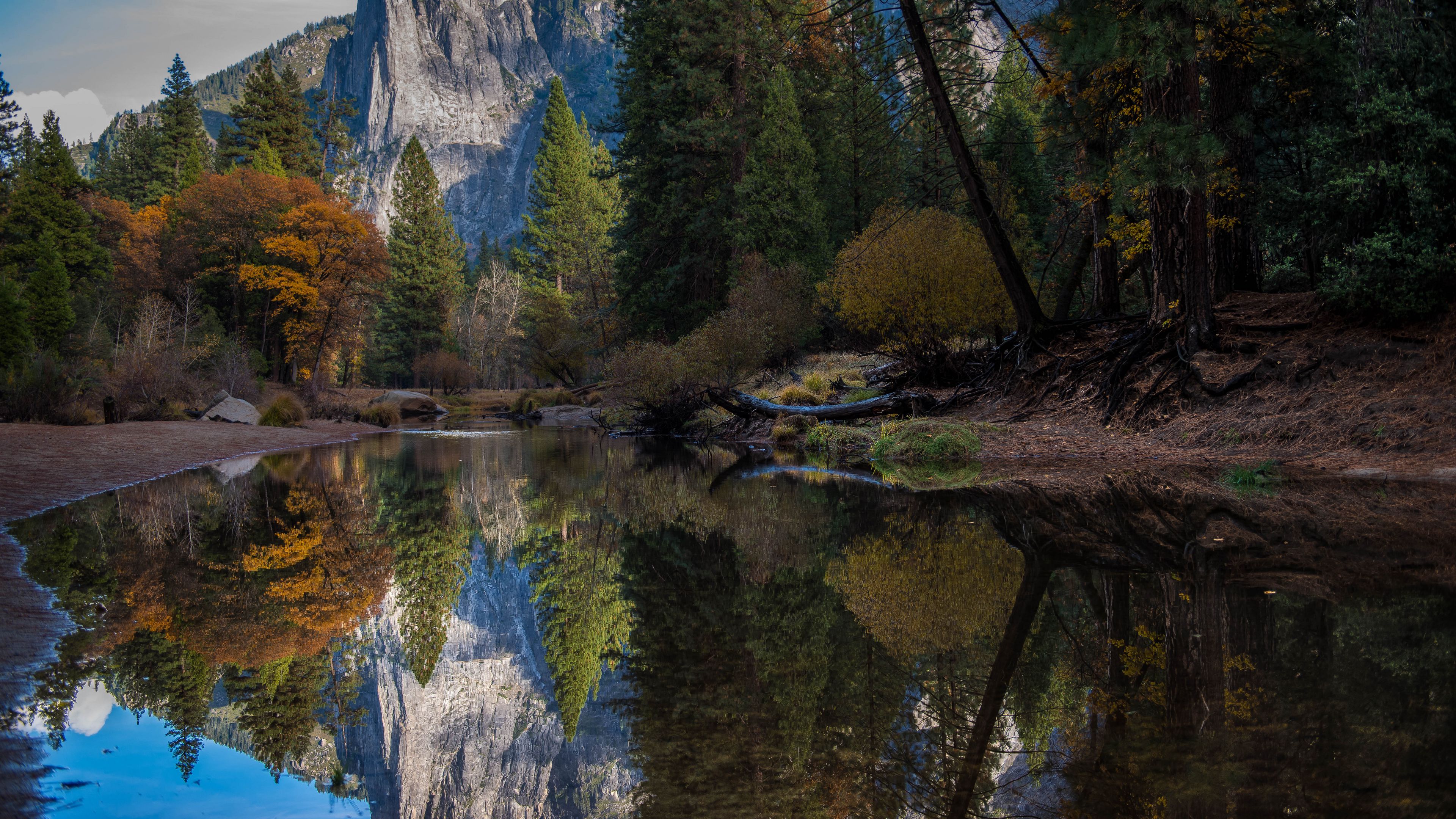 mountains, lake, reflection, forest, 4k, HD Wallpaper