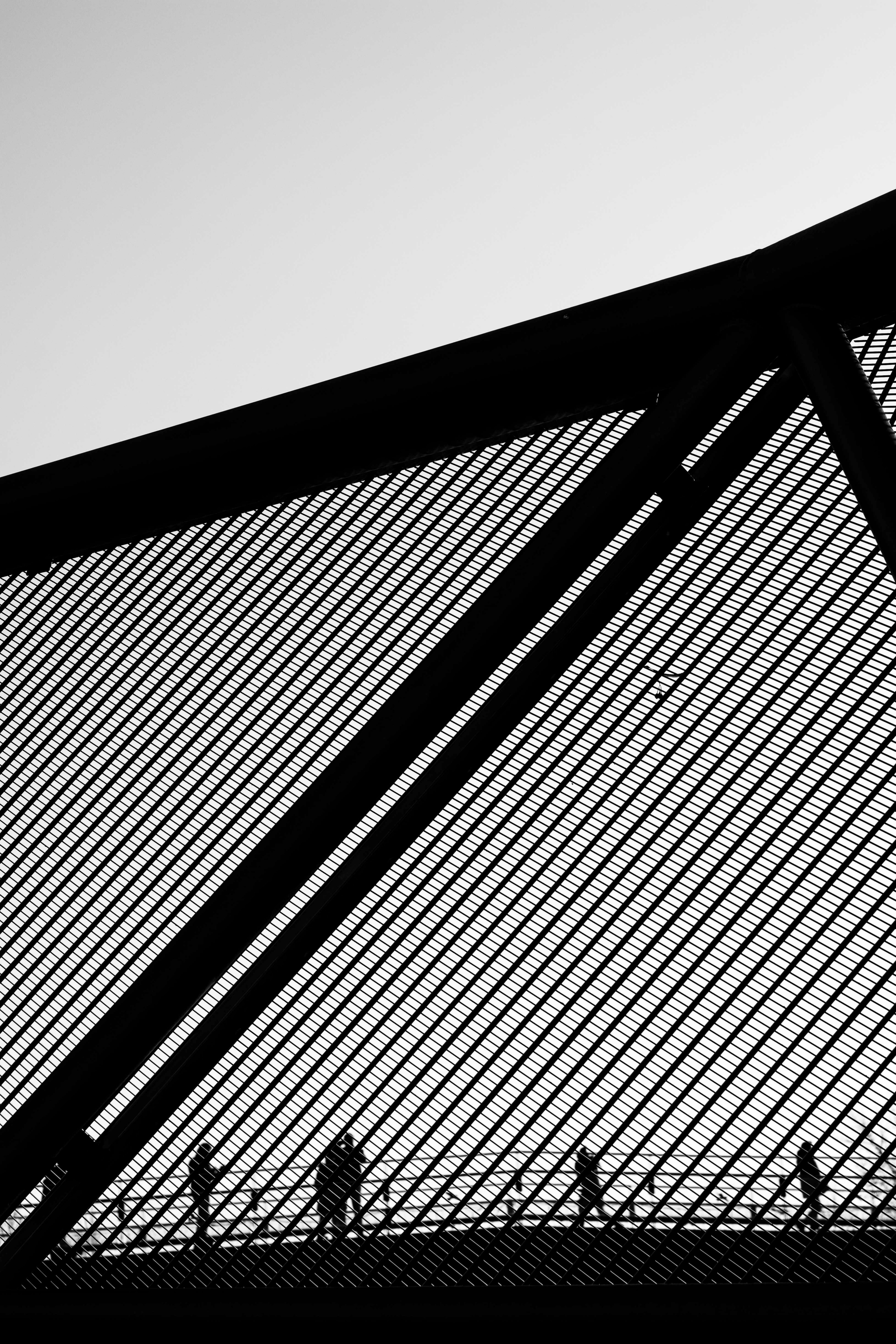 bnw 4k, Phone HD Wallpaper