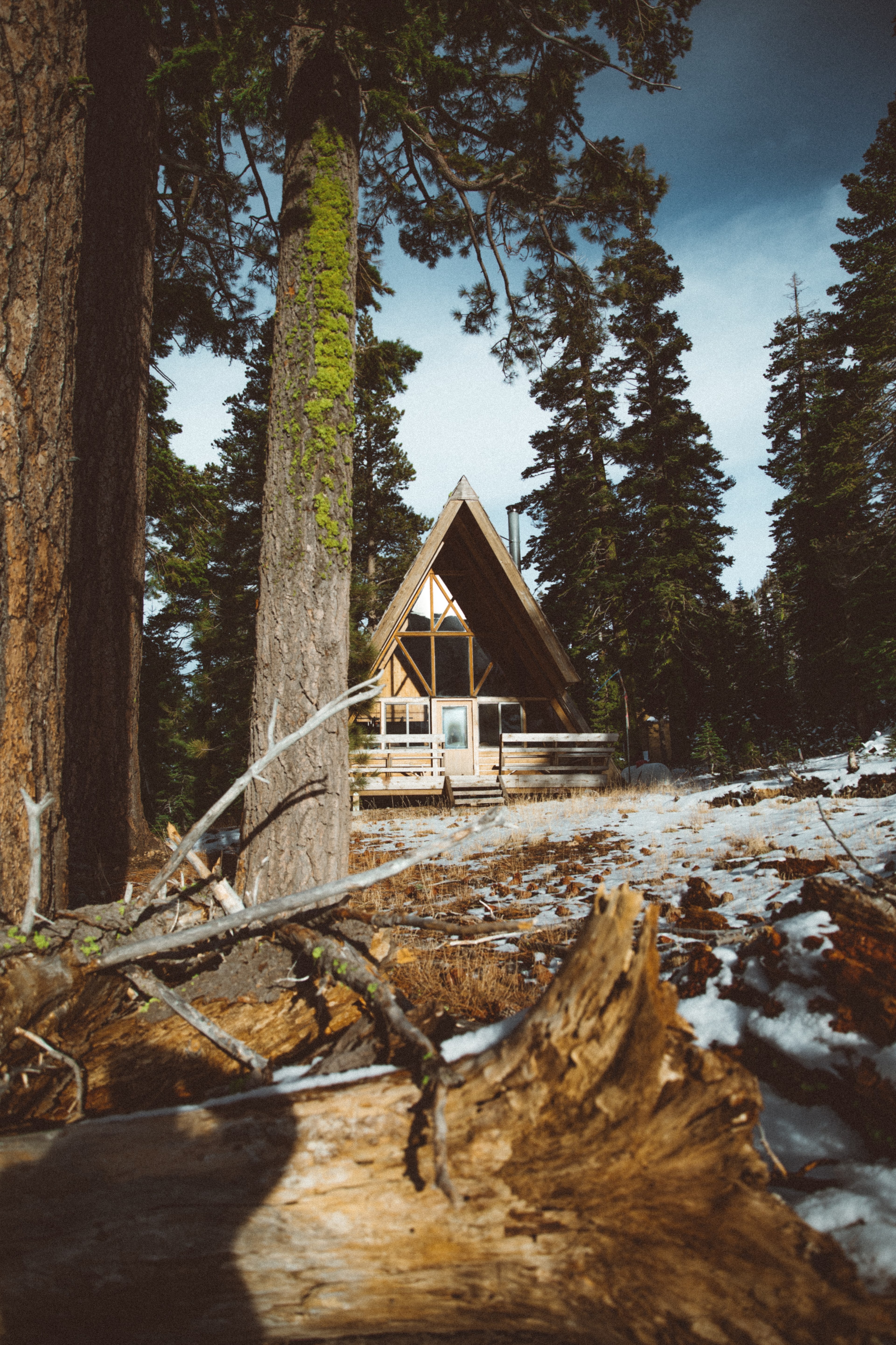 tree cabin building and house hd, 4k, Phone HD Wallpaper
