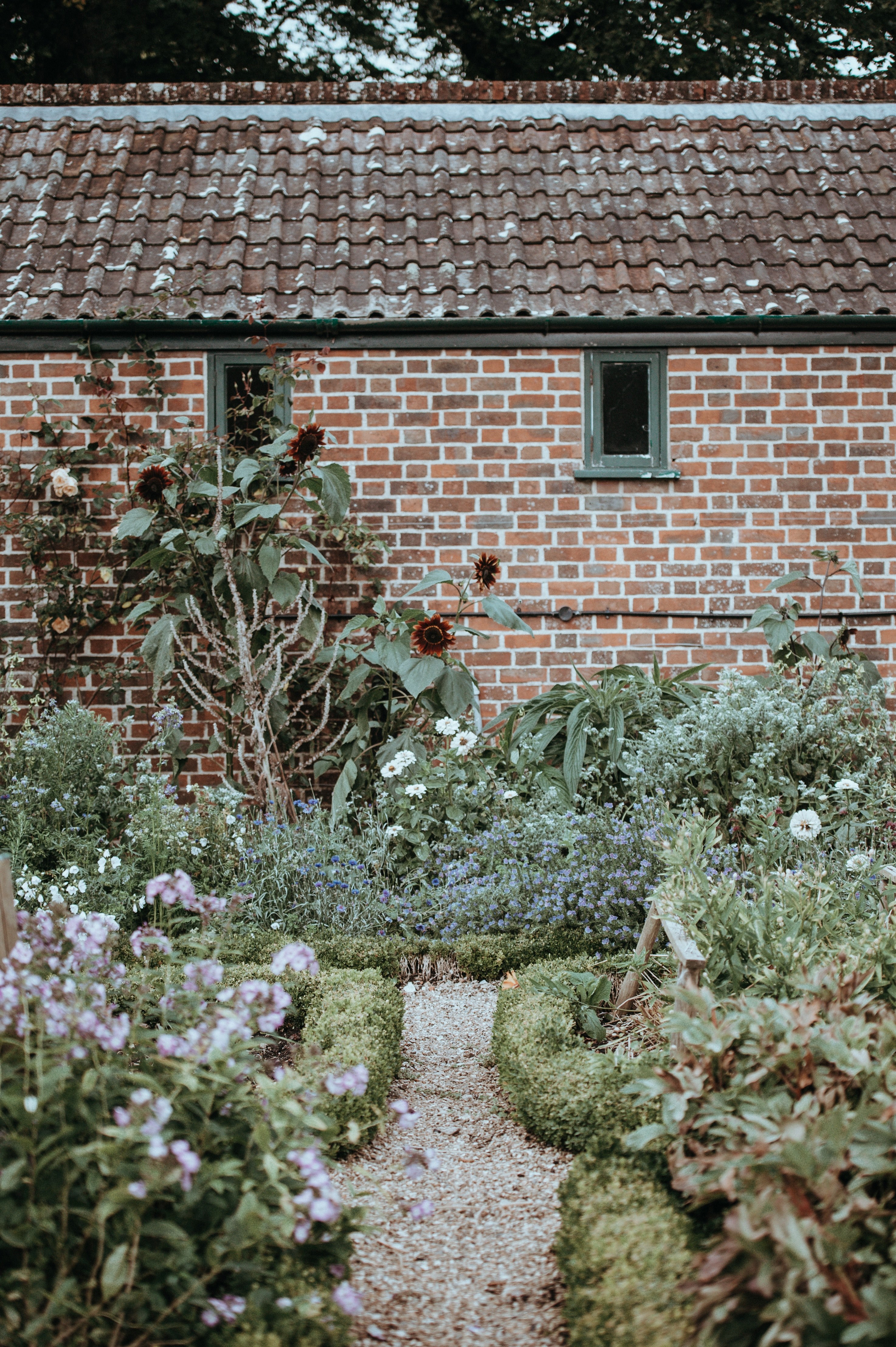 garden plants flowers and house hd, 4k, Phone HD Wallpaper