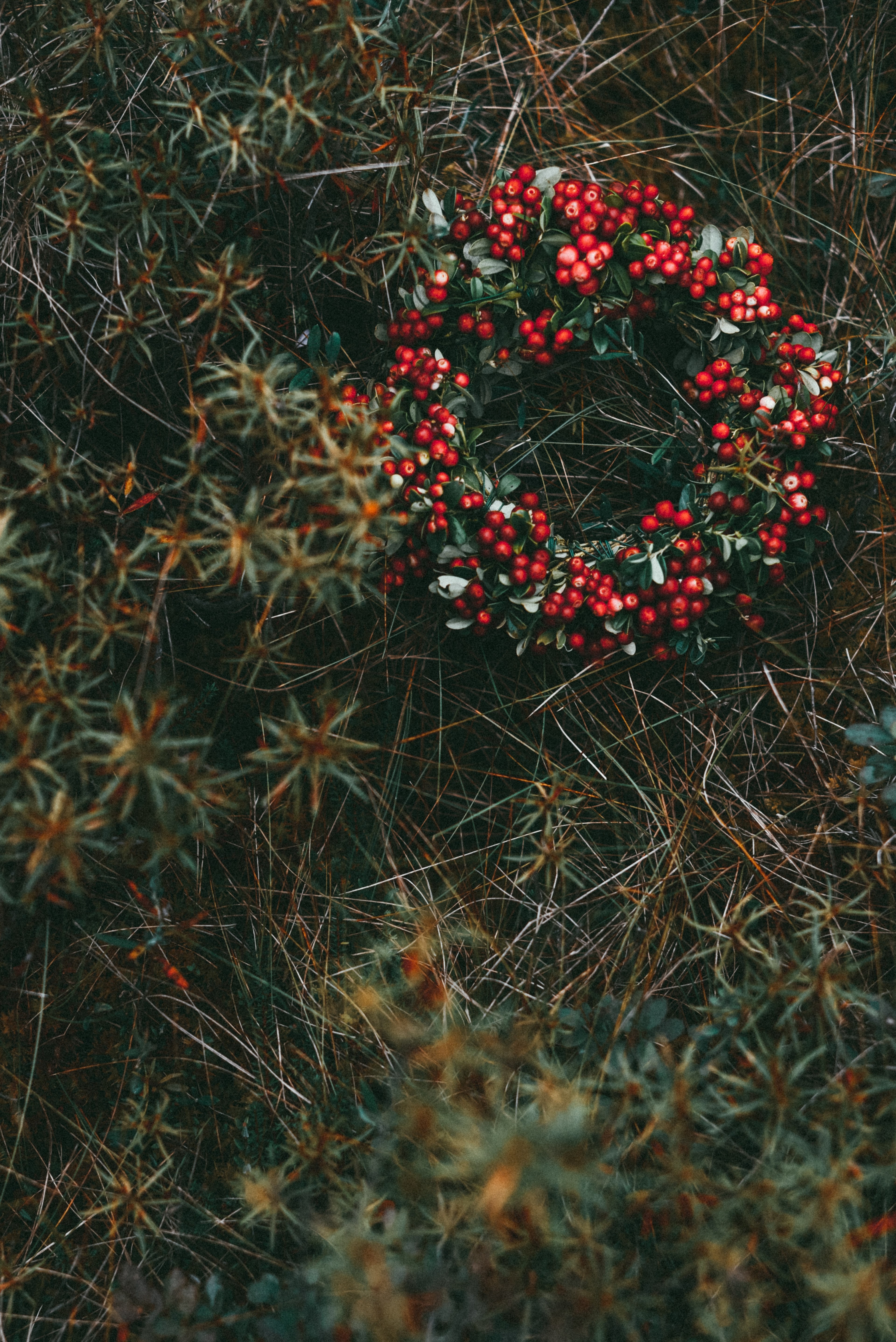 amazing nature 4k, Phone HD Wallpaper