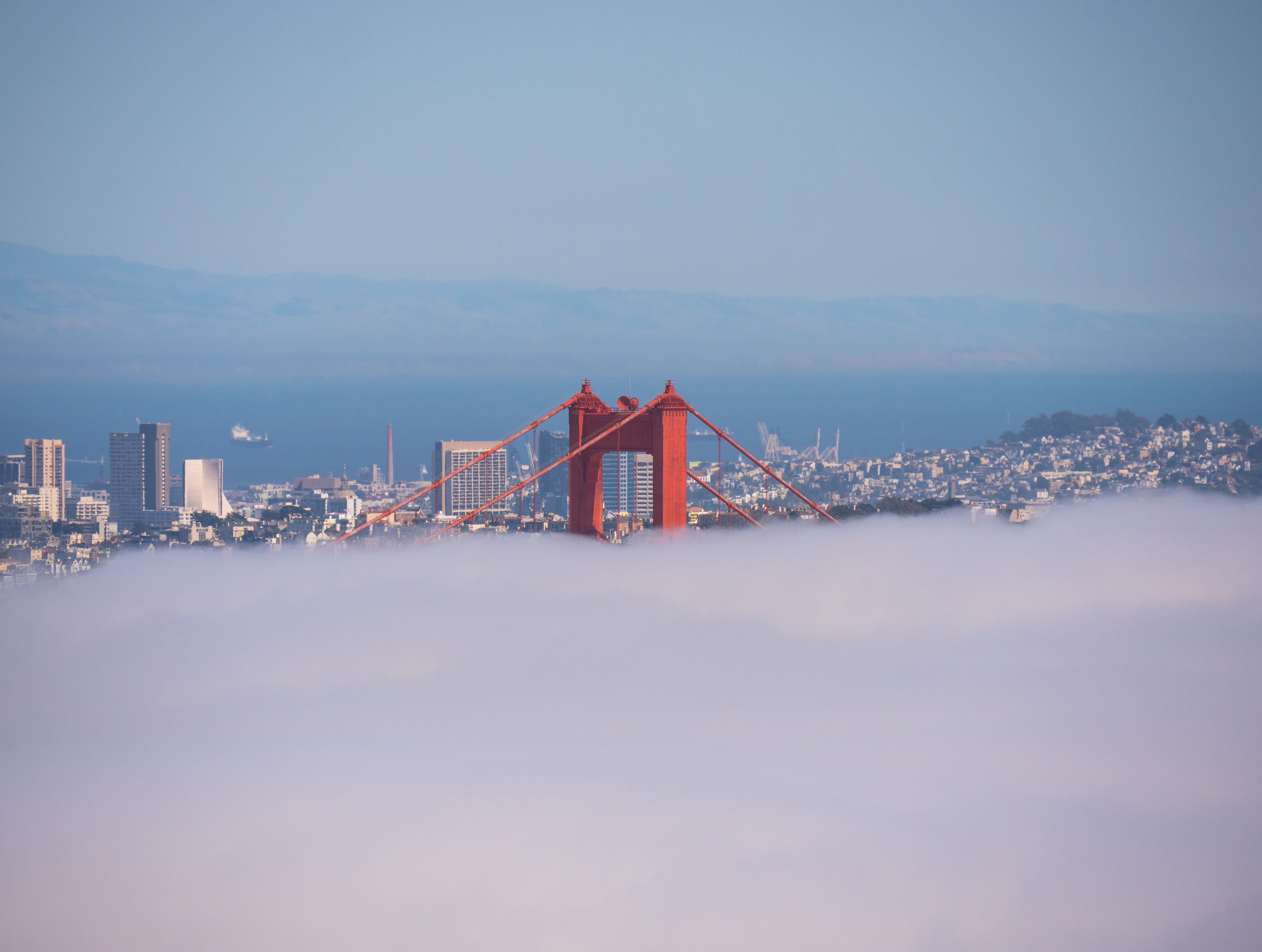 peaking through the fog 4k, HD Wallpaper