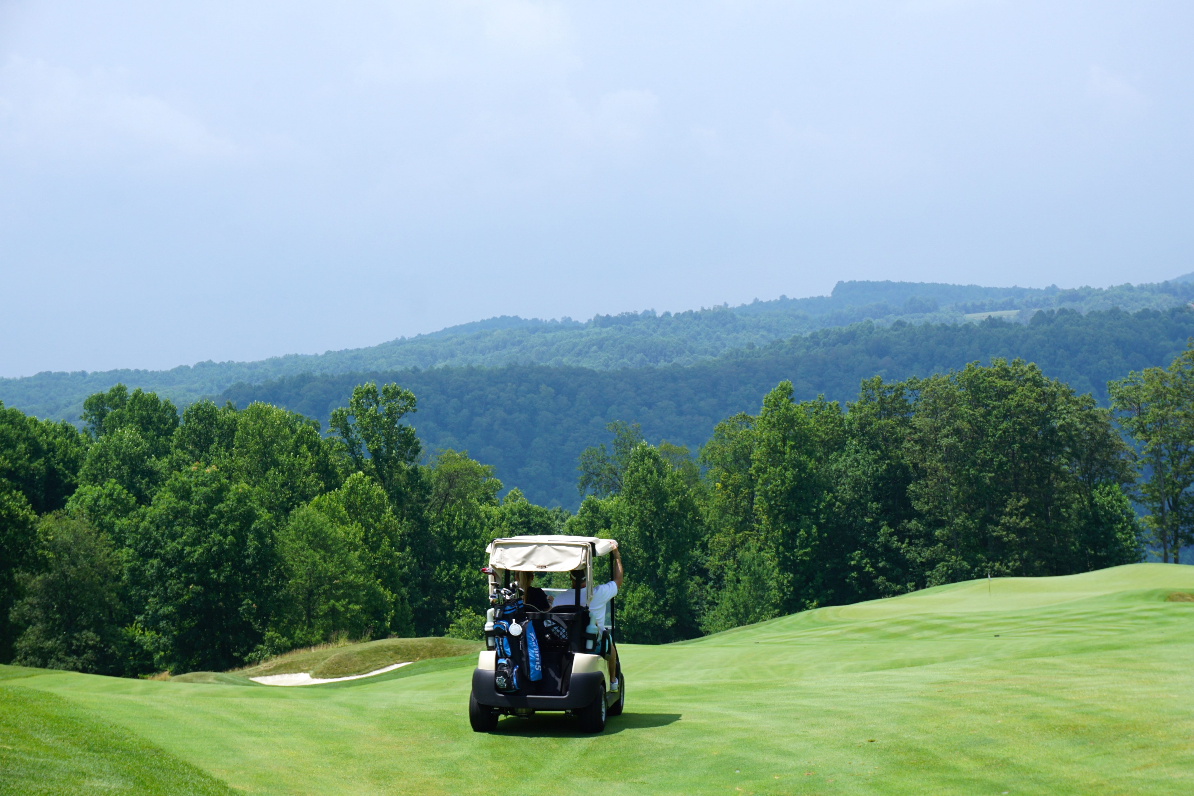 golf cart drives on highland course grass in front of green trees and hills, golf cart on grass 4k, HD Wallpaper