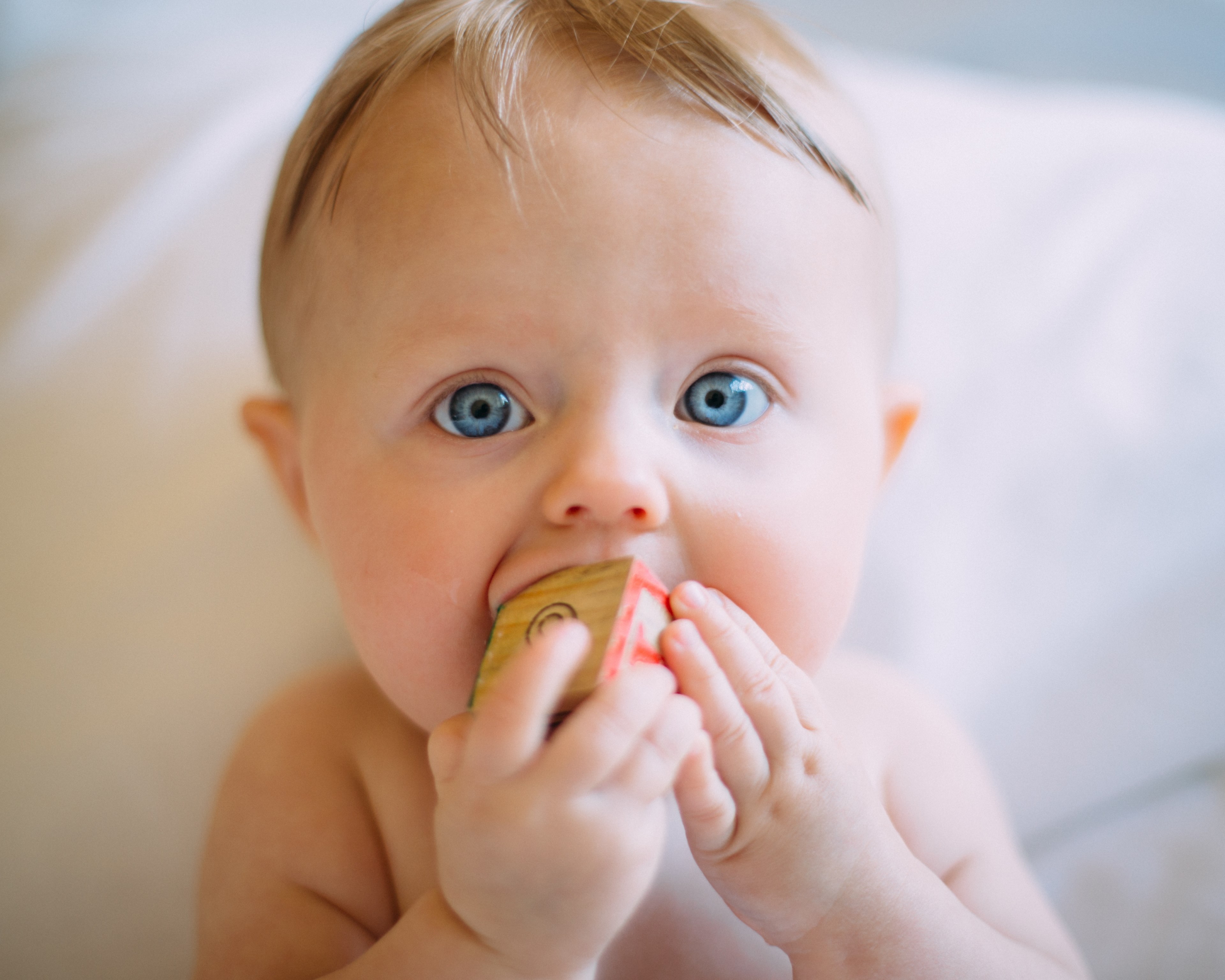 cute baby chewing on a letter block toy, baby toys 4k, HD Wallpaper