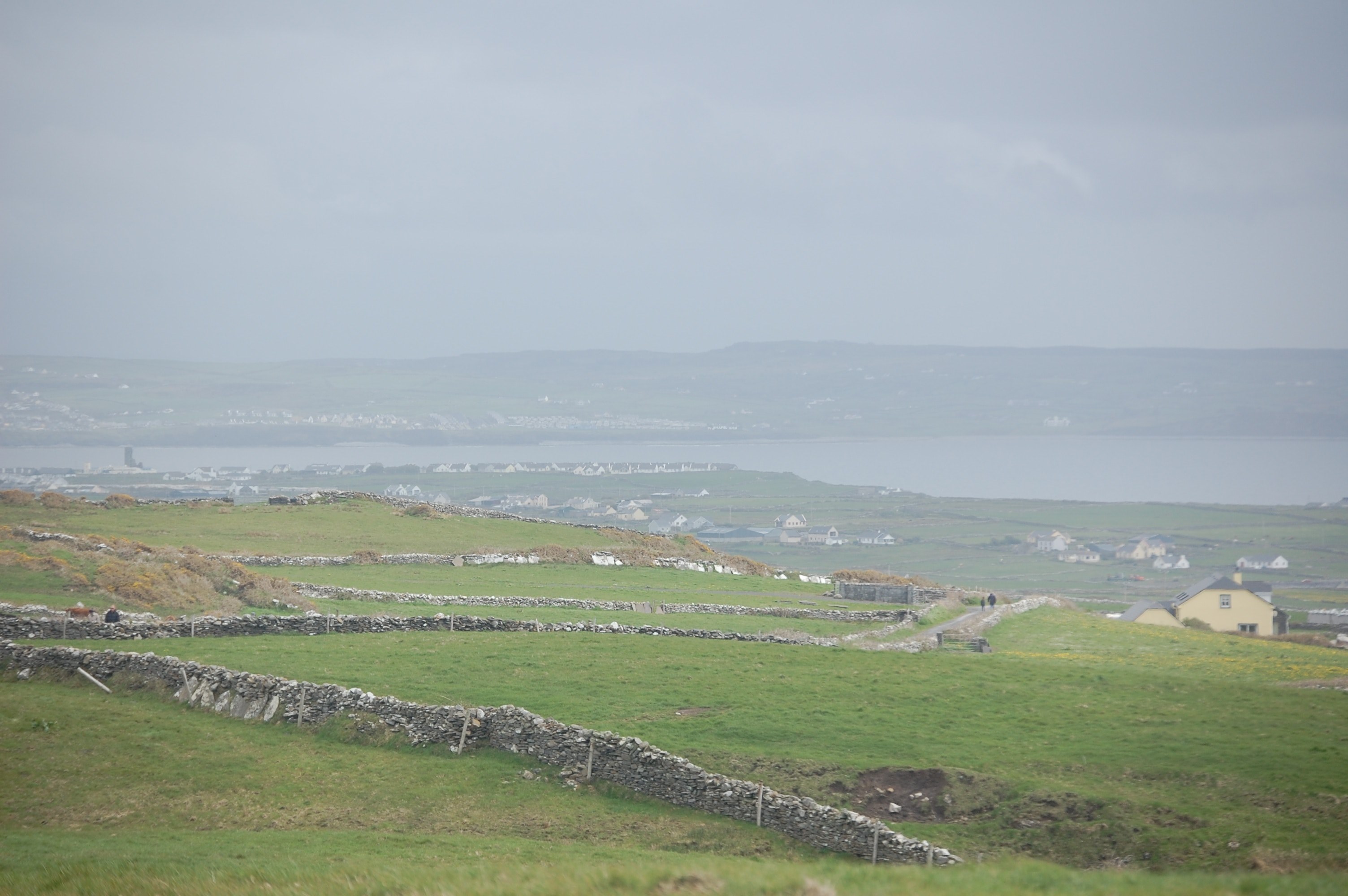rocky fences line green pastures in cliffs of moher, foggy farm fields 4k, HD Wallpaper
