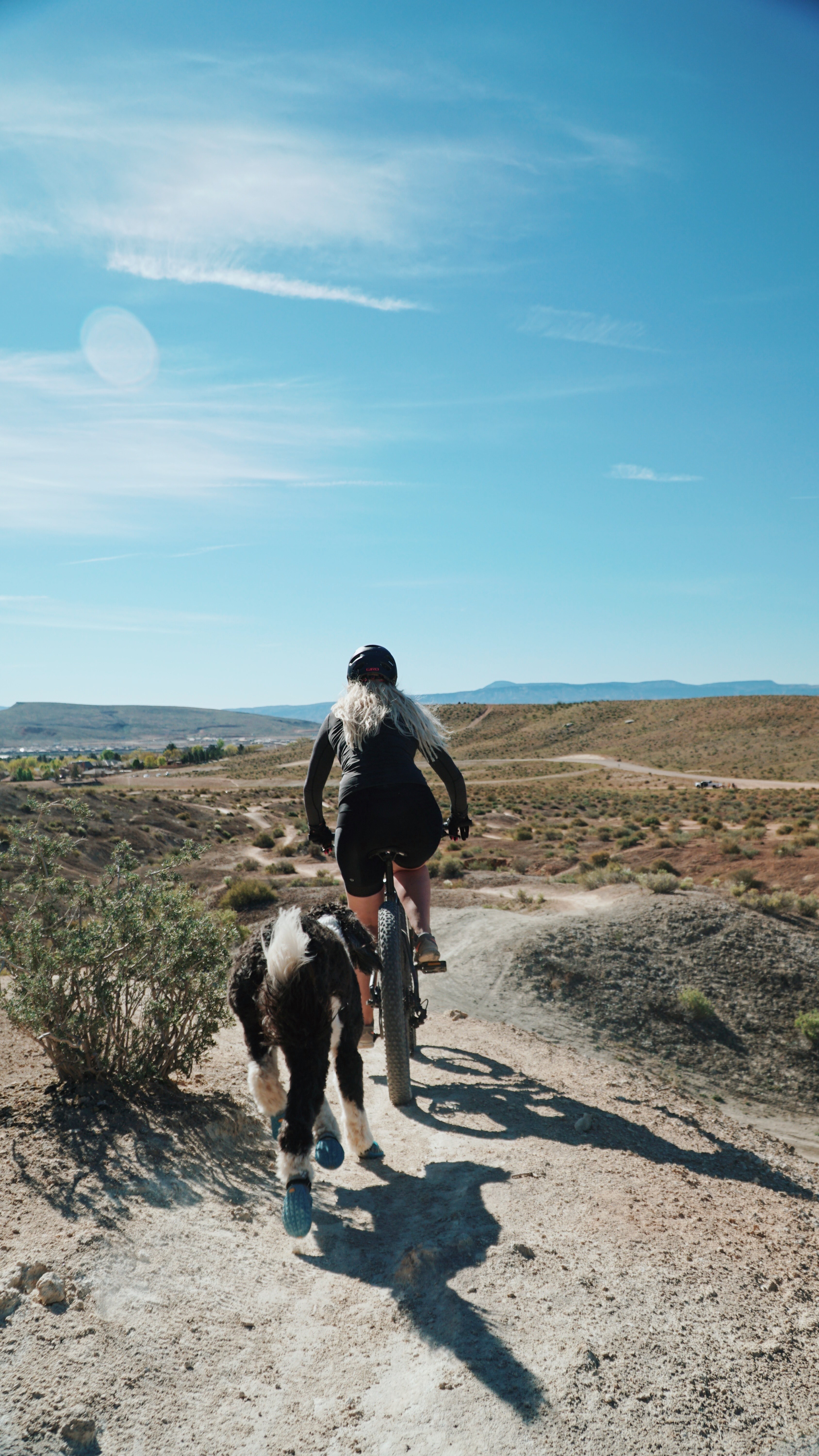 a blonde woman riding a bicycle through the desert with a dog following him in st george, st_ george dog and bicycle 4k, Phone HD Wallpaper