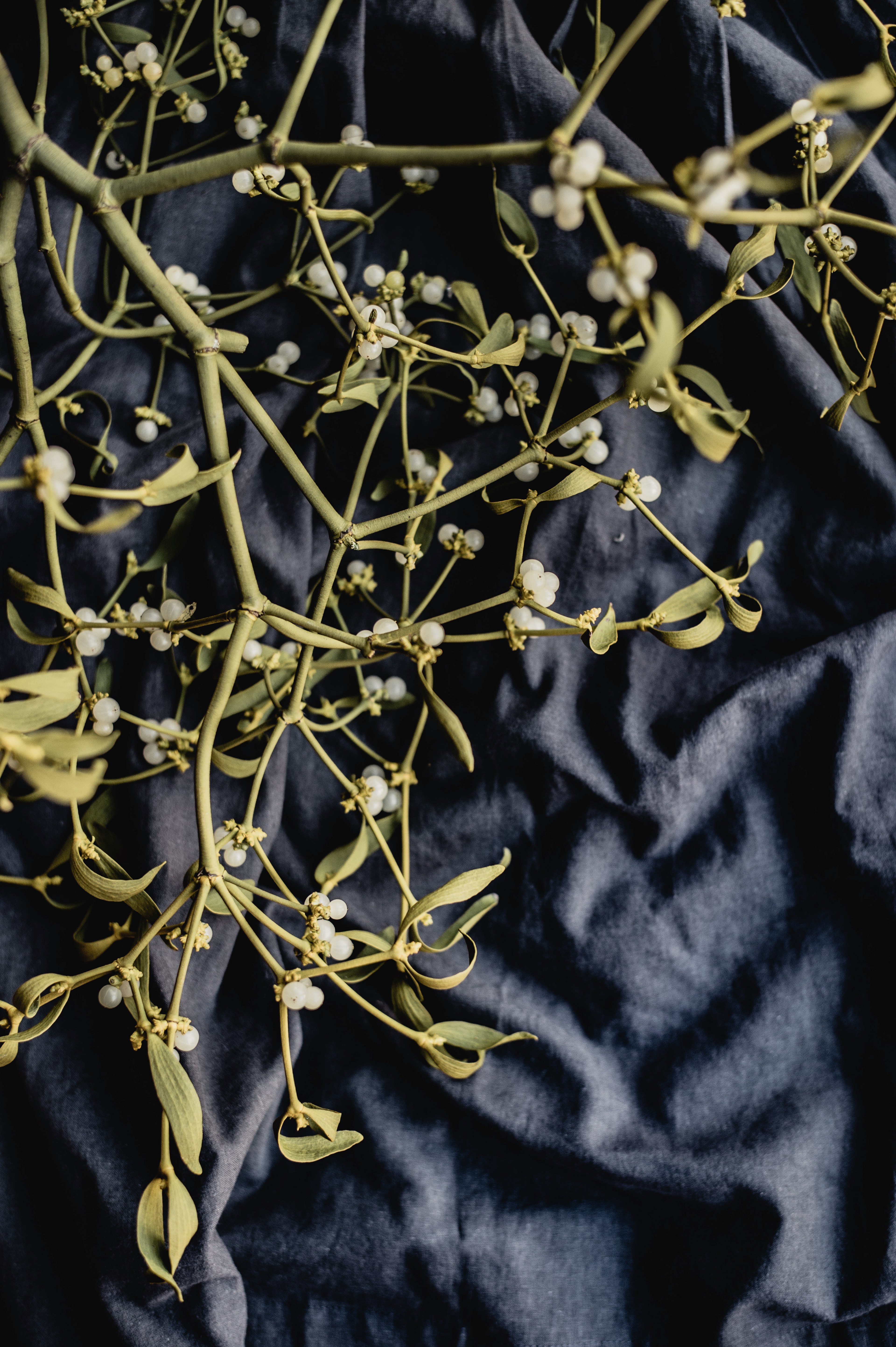 mistletoe 4k, Phone HD Wallpaper