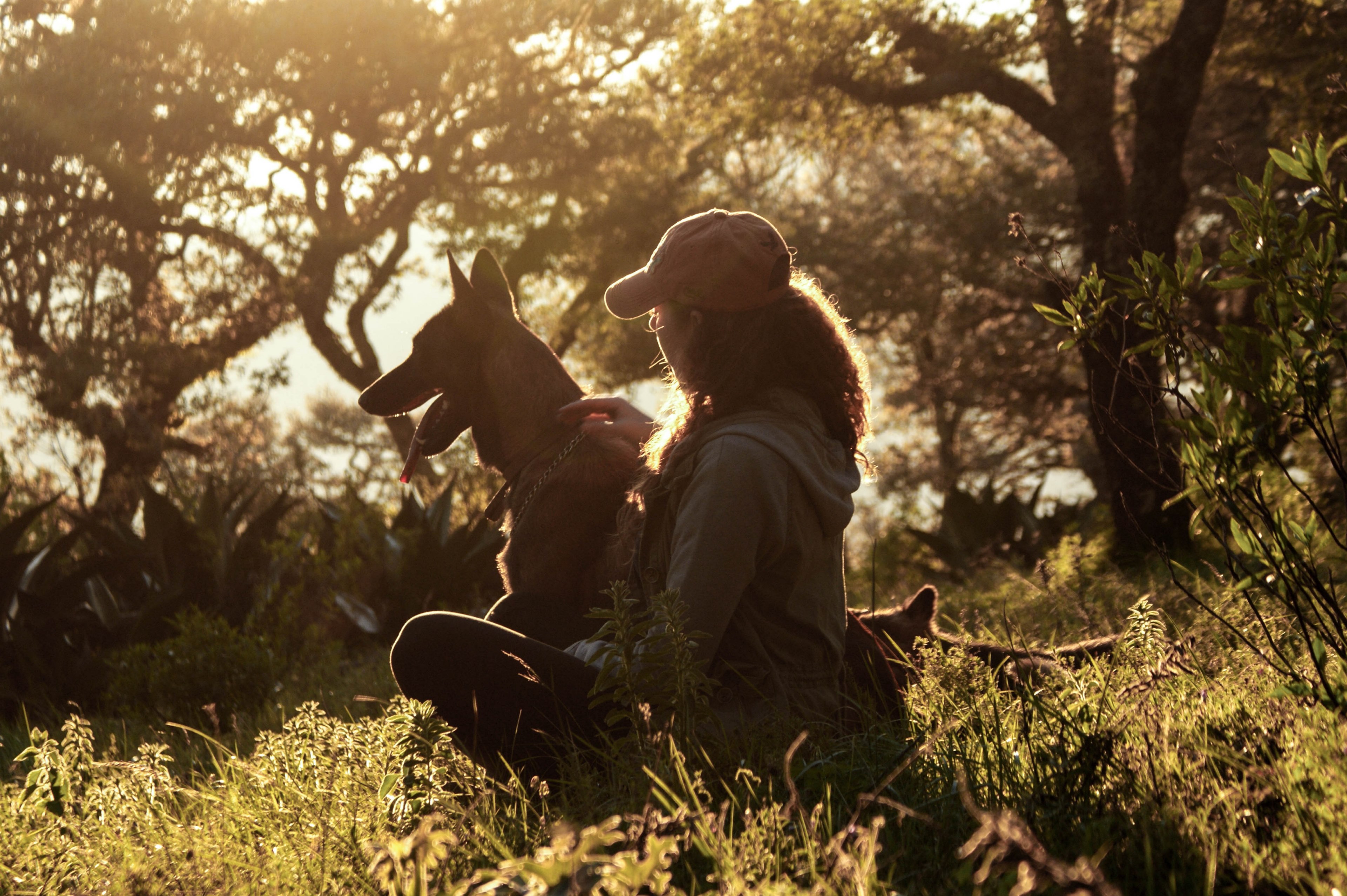 a woman in a cap sits with her dog on grass in front of sunny trees, woman with her dog 4k, HD Wallpaper