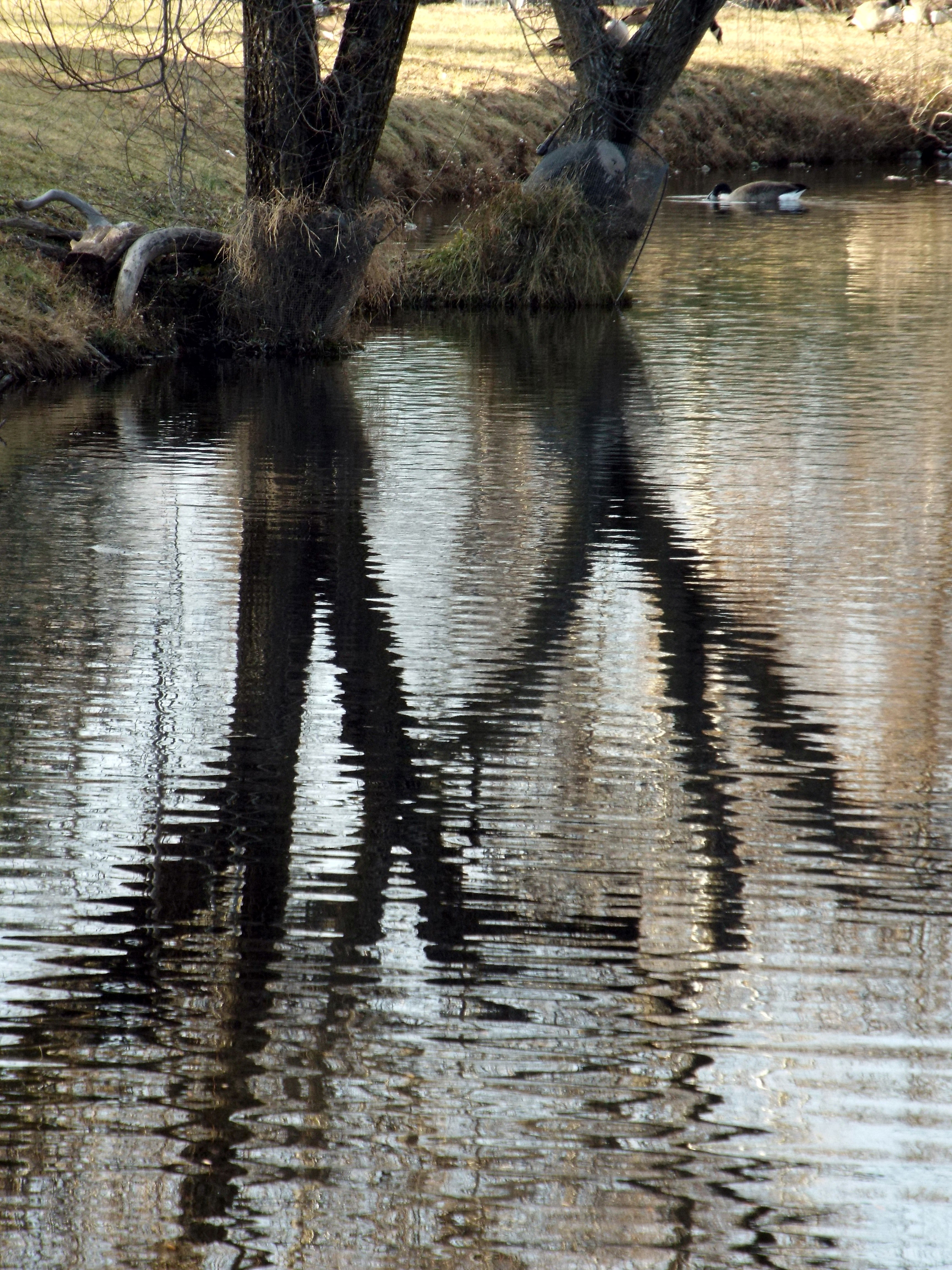 reflections 4k, Phone HD Wallpaper