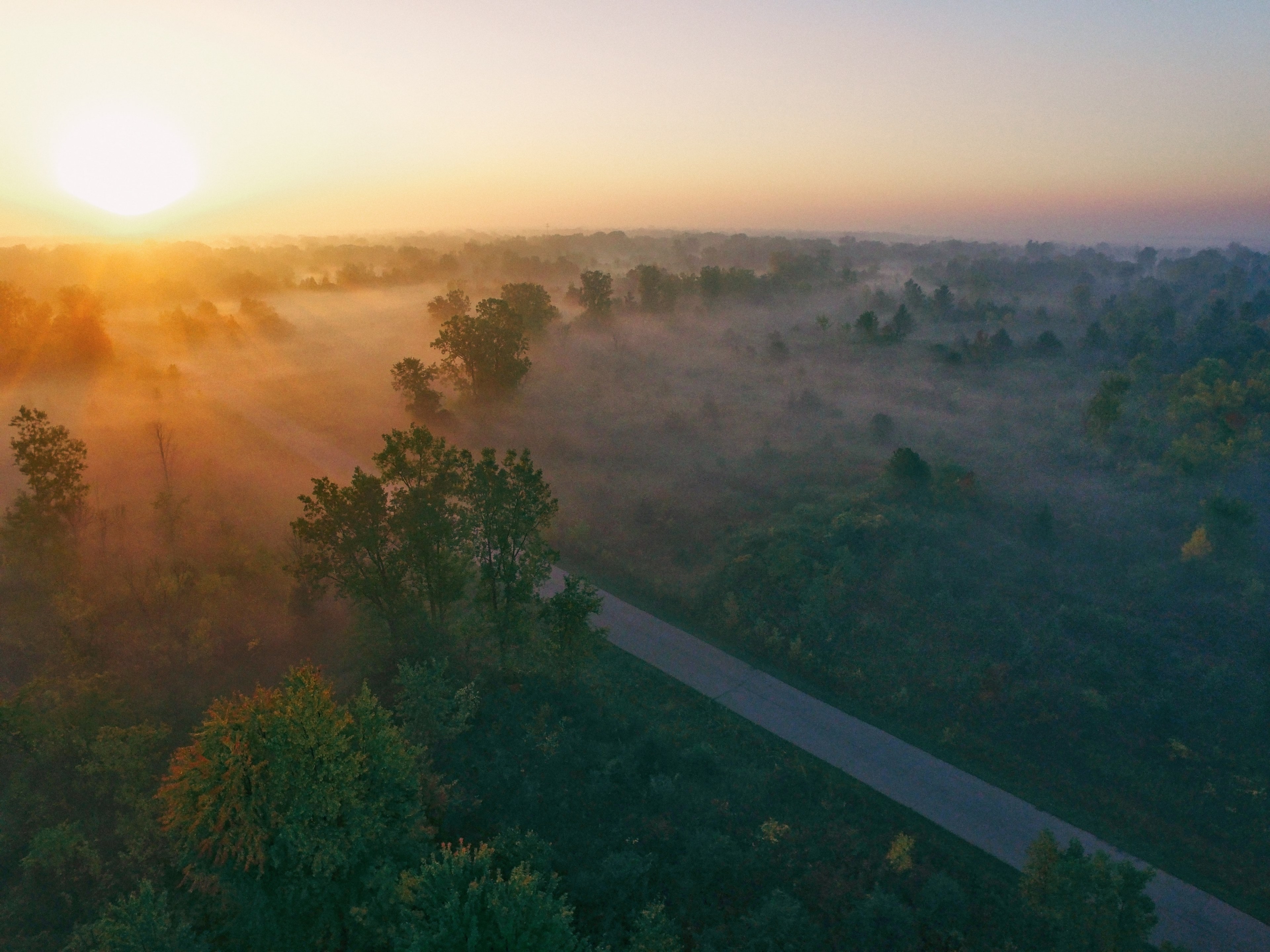 drone view of misty countryside and through road at dawn or dusk in flint michigan, misty trees and grass 4k, HD Wallpaper