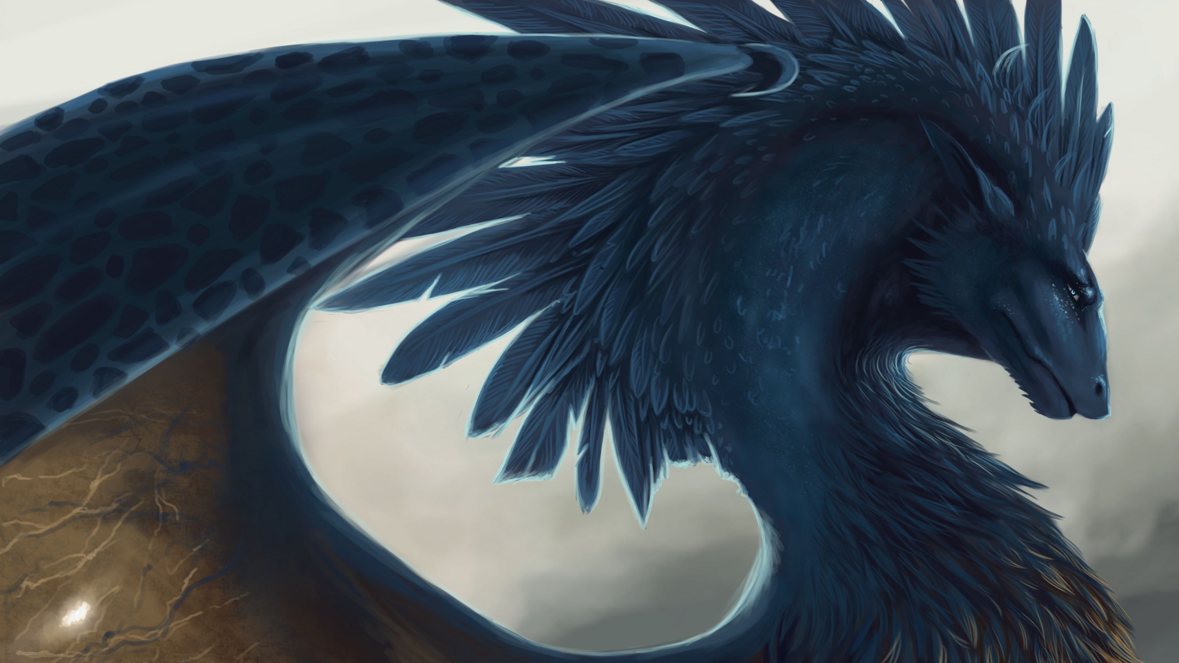 dragon, fantasy, art, feathers, 4k, HD Wallpaper