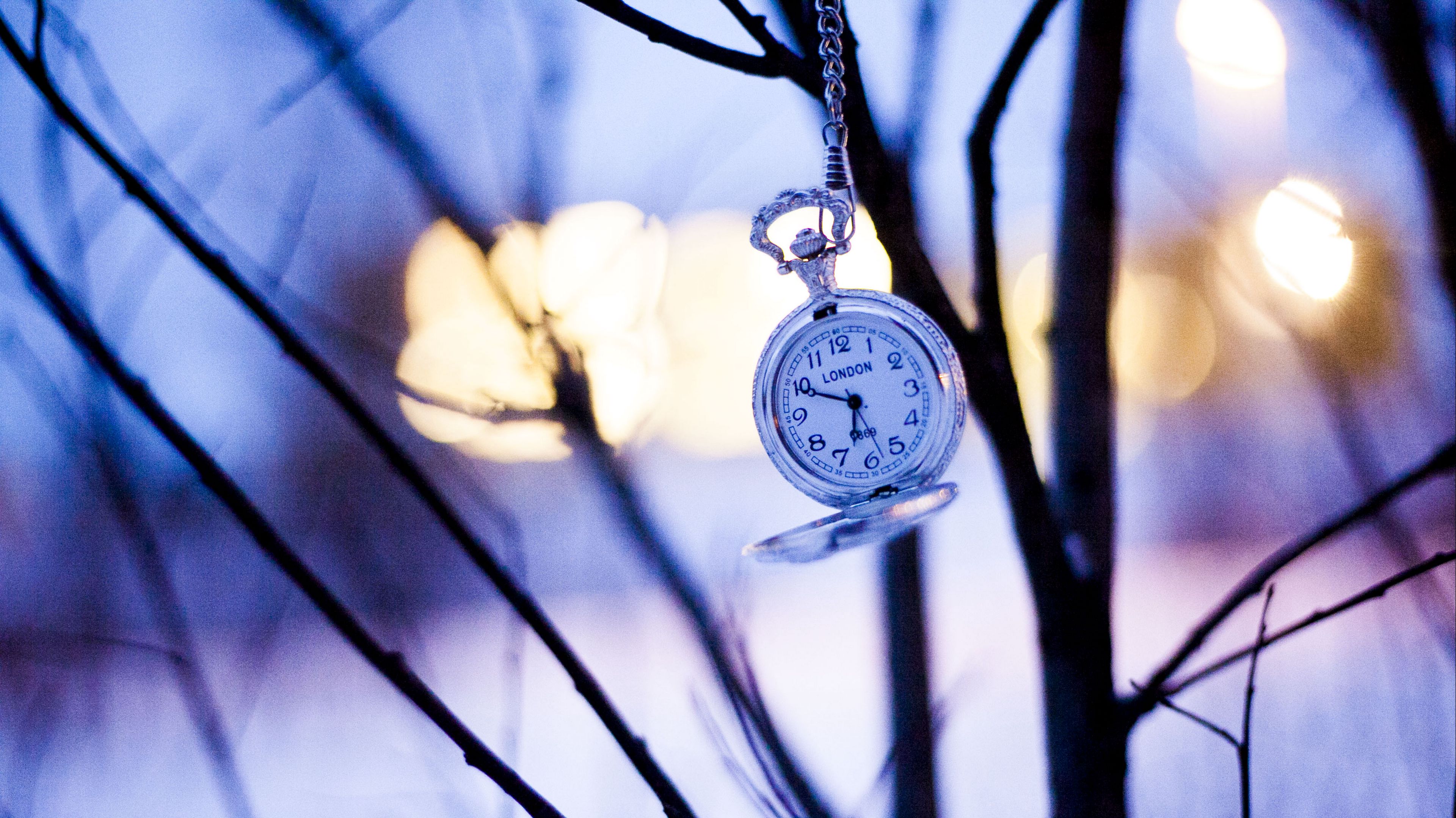 watches, branches, winter, pocket watch, 4k, HD Wallpaper