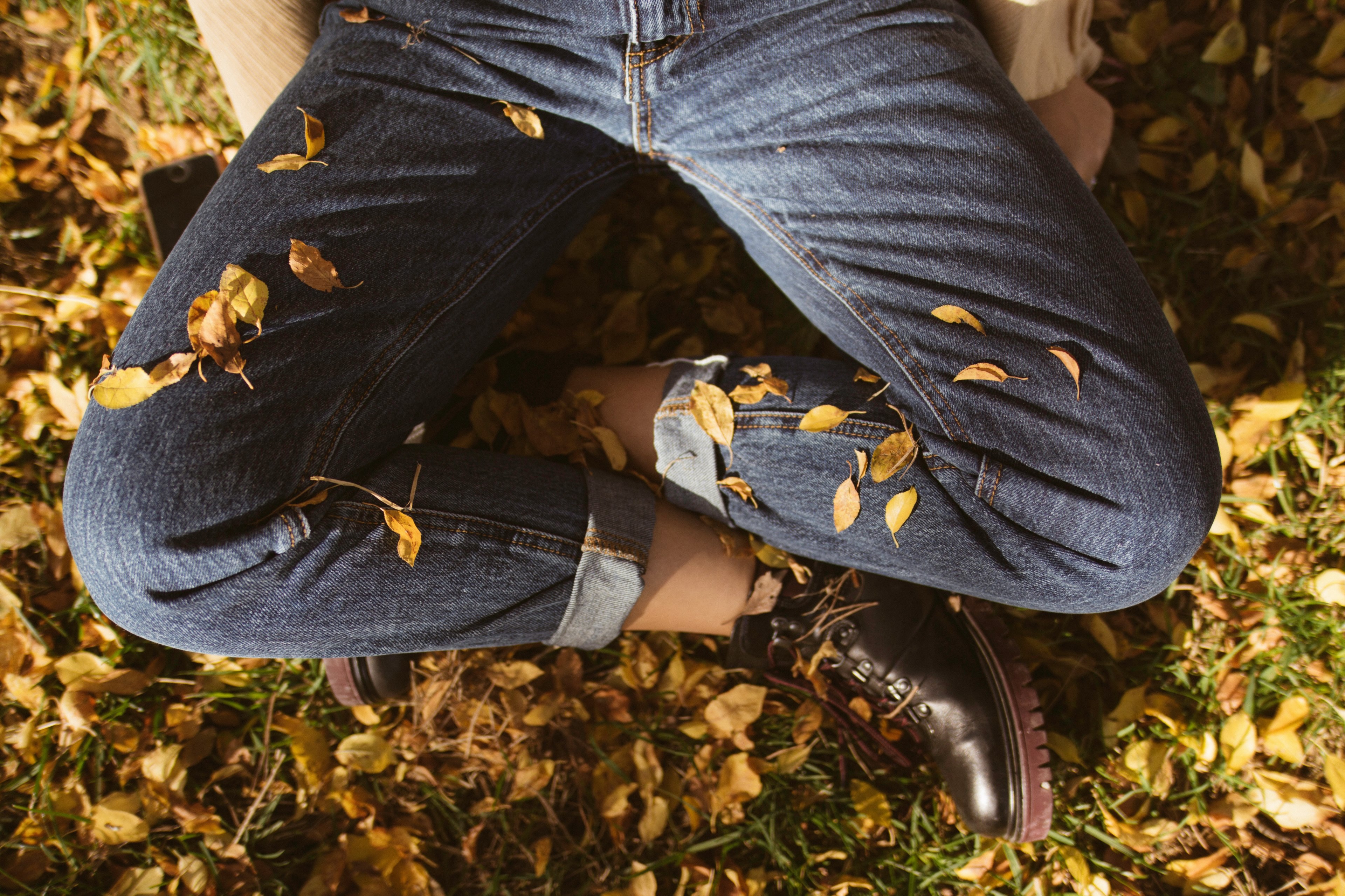 season fall autumn and leaves 4k, HD Wallpaper