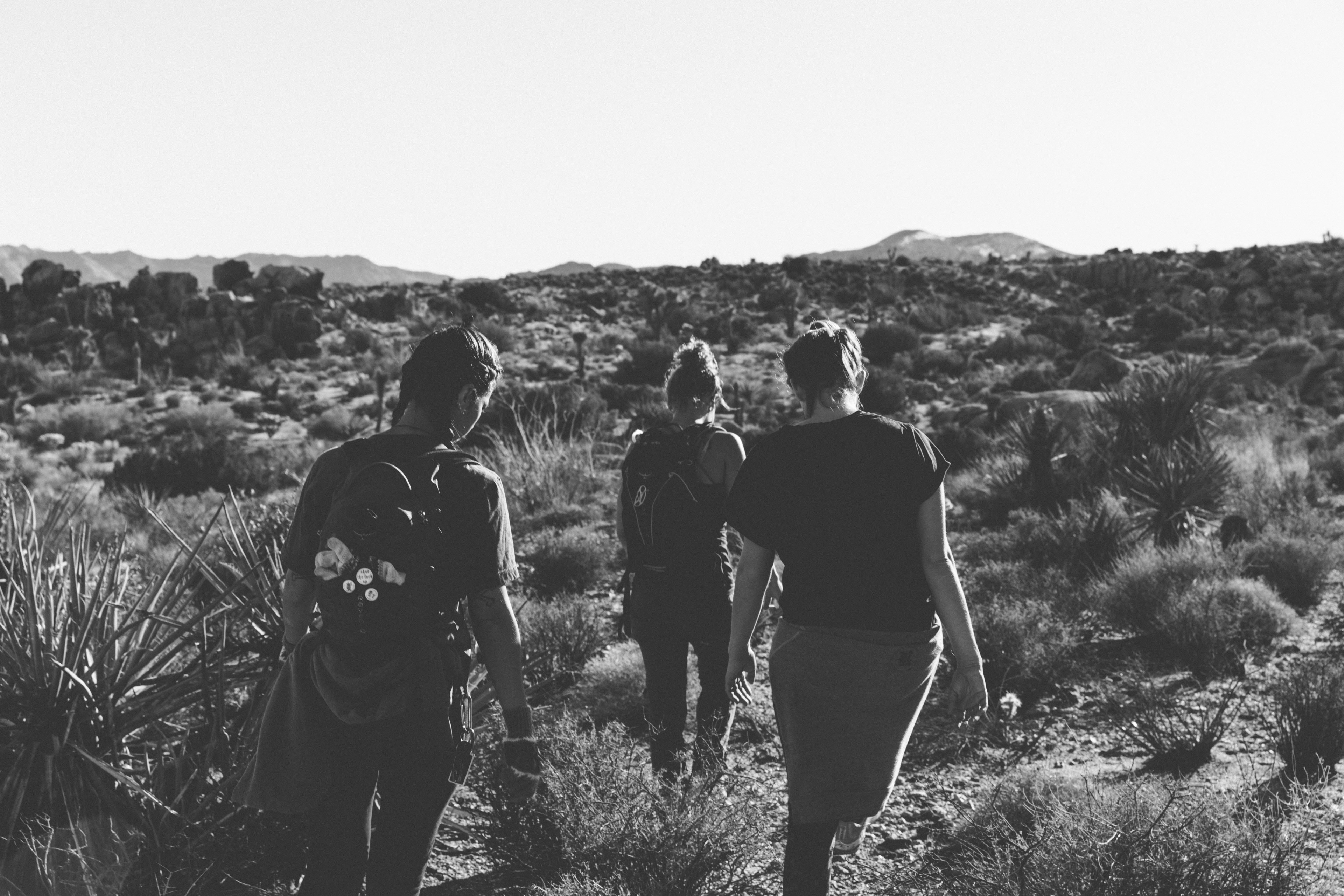 three young people hiking through the dry grassland in joshua tree national park, joshua tree friends walking 4k, HD Wallpaper