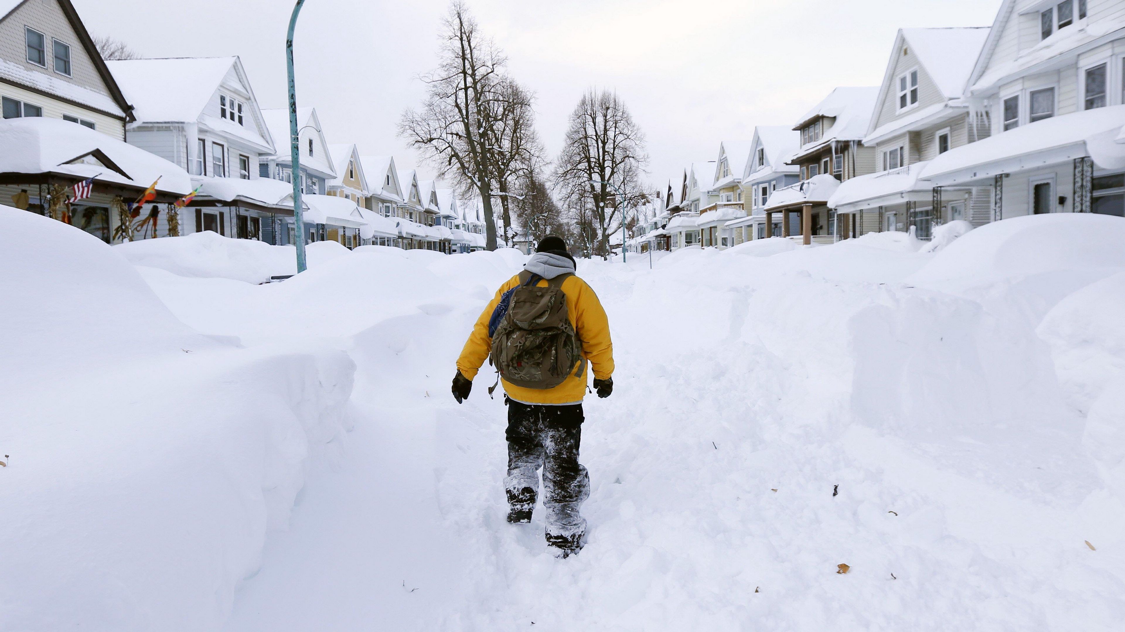 buffalo, snow, heavy snow keeps falling, 2014, 4k, HD Wallpaper