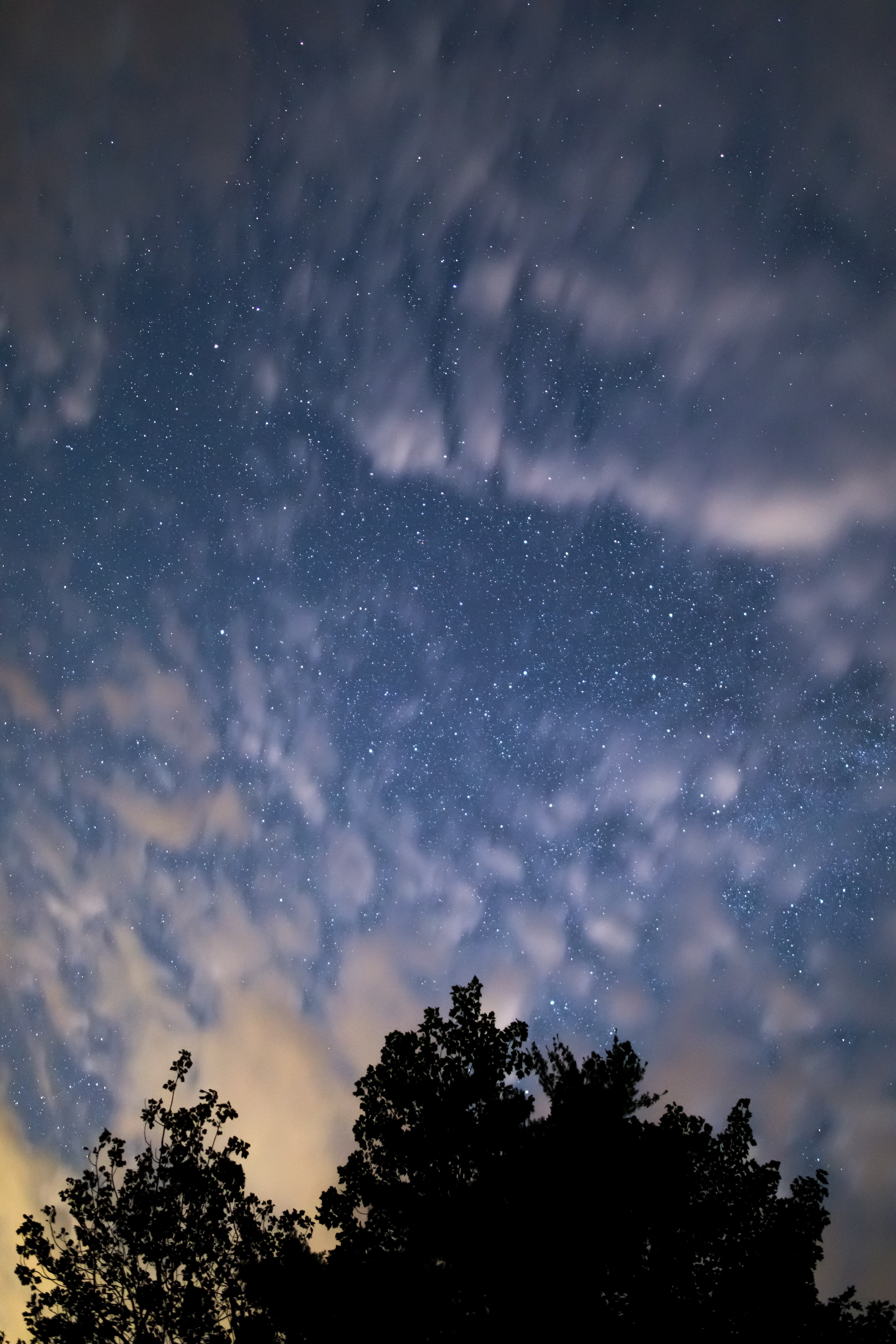 midnight clouds above trees 4k, Phone HD Wallpaper