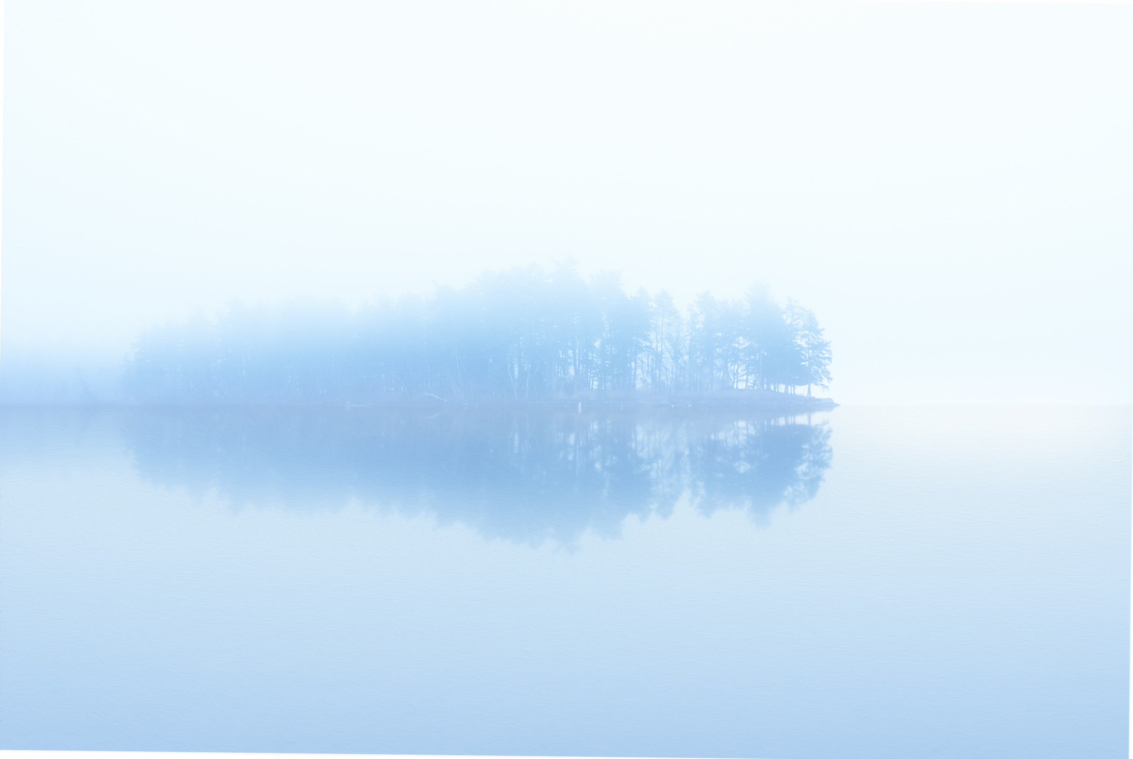 icy blue lake surrounding row of trees in conway, foggy island 4k, HD Wallpaper