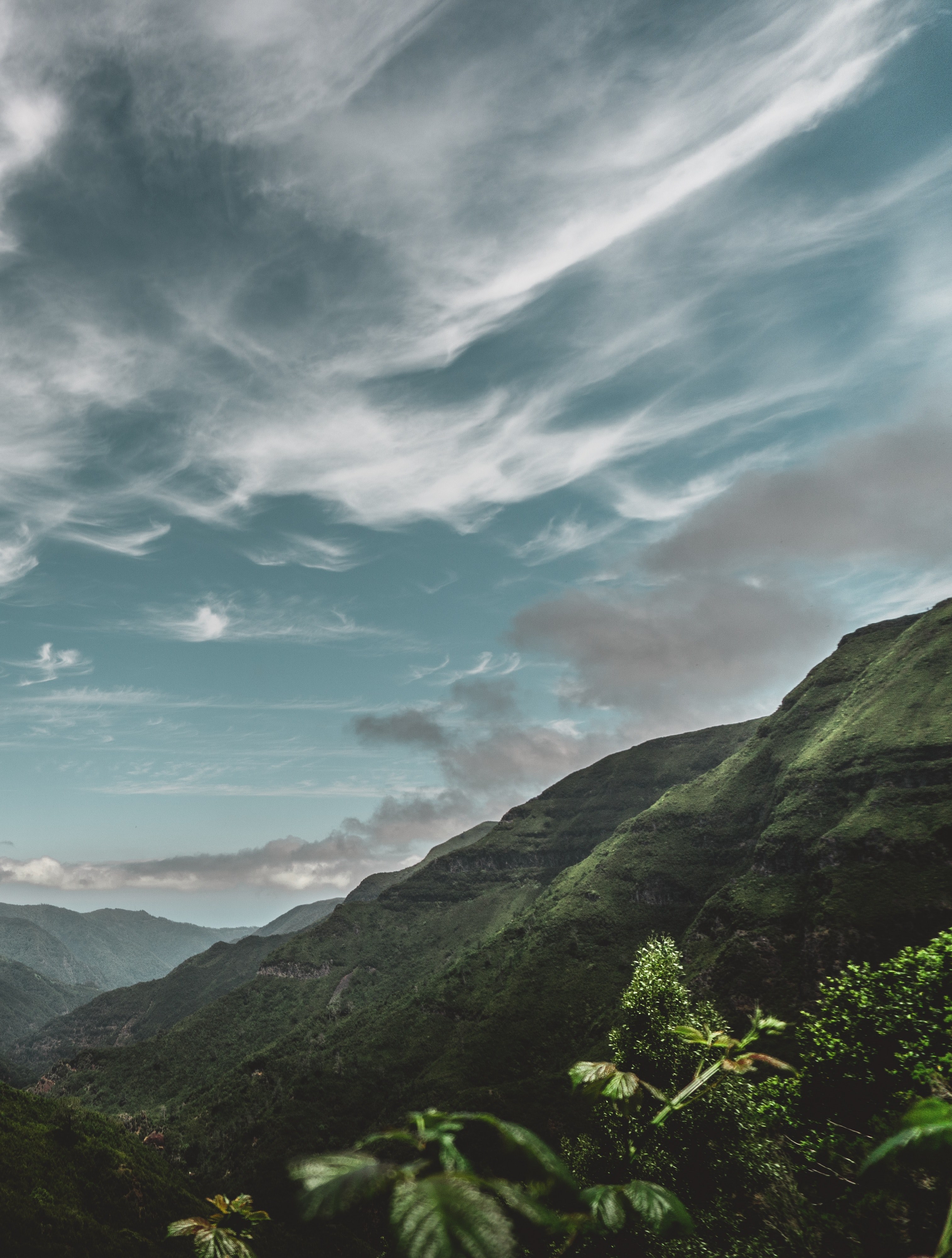 madeira breathtaking views 4k, Phone HD Wallpaper