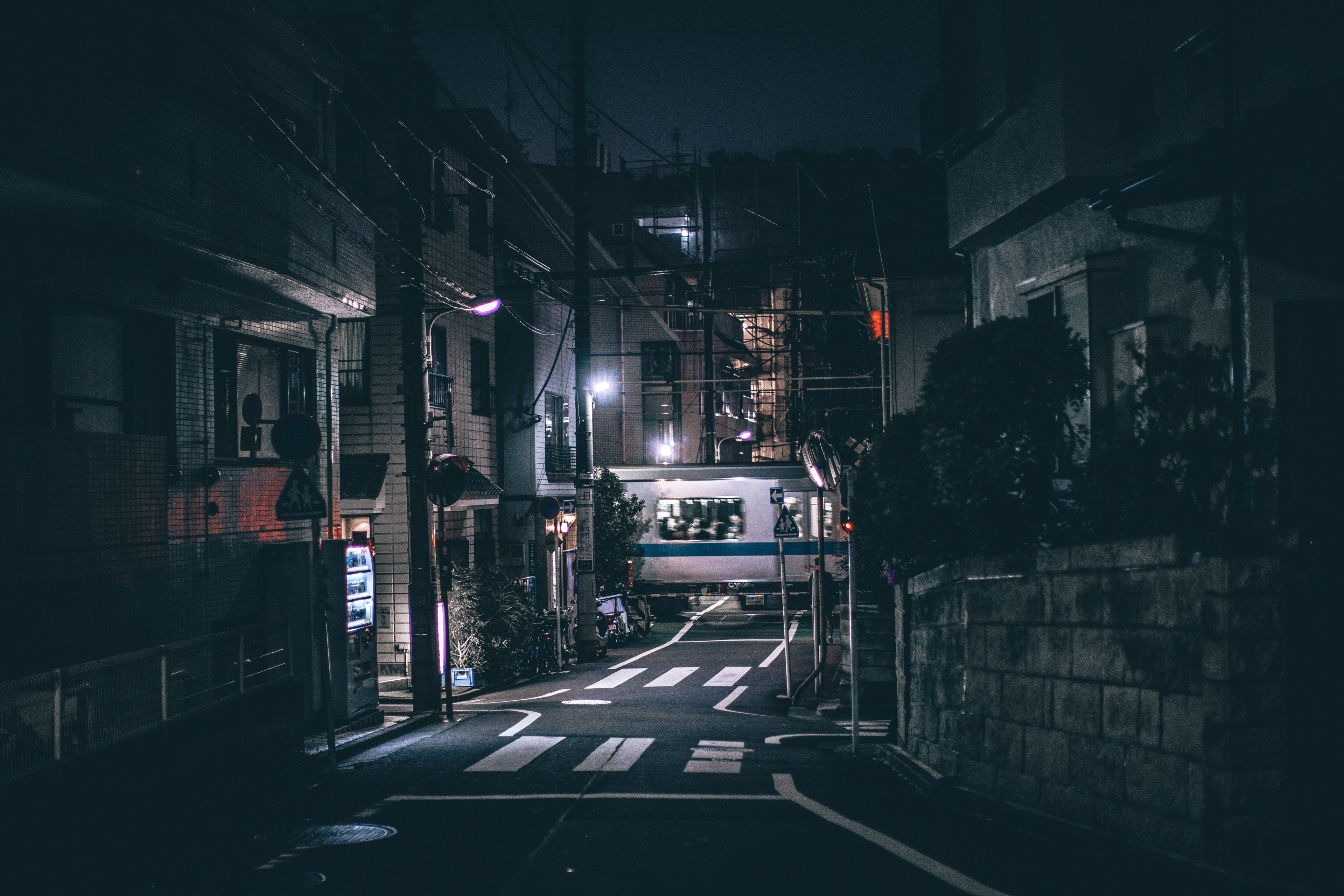 the path_ 4k, HD Wallpaper