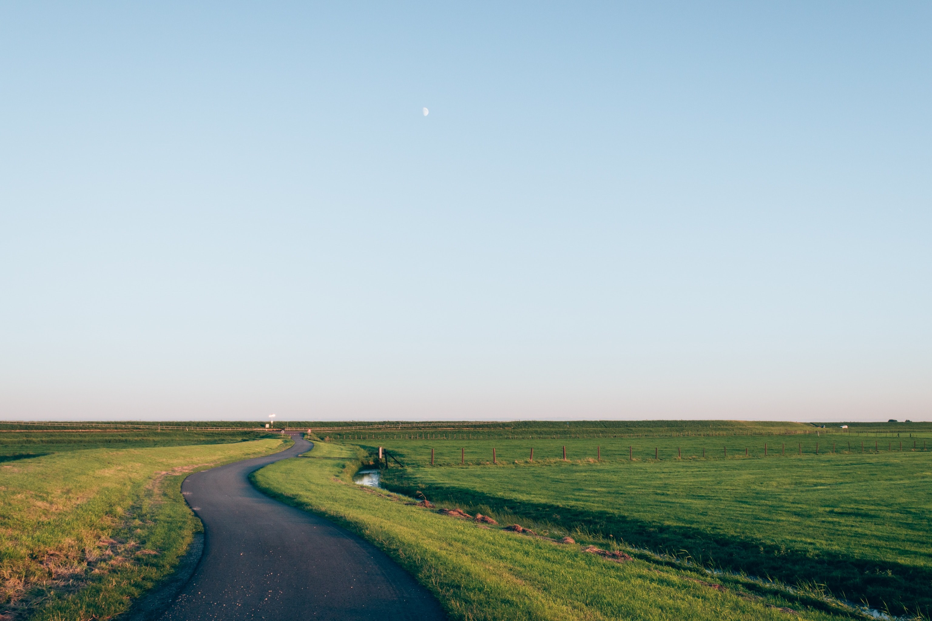 a winding road through a green meadow, winding road 4k, HD Wallpaper