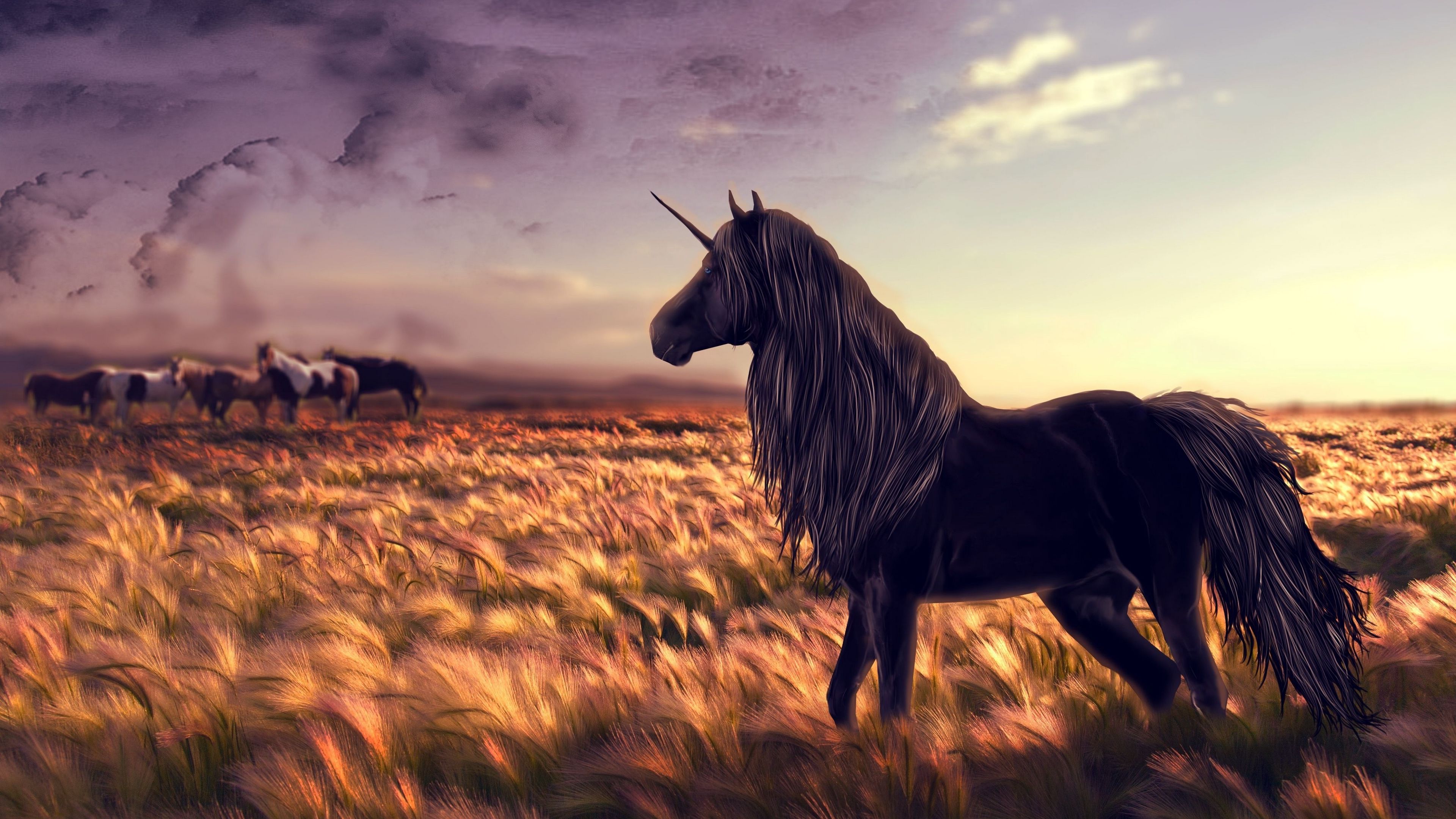 horse, unicorn, golf, art, grass, wind, 4k, HD Wallpaper