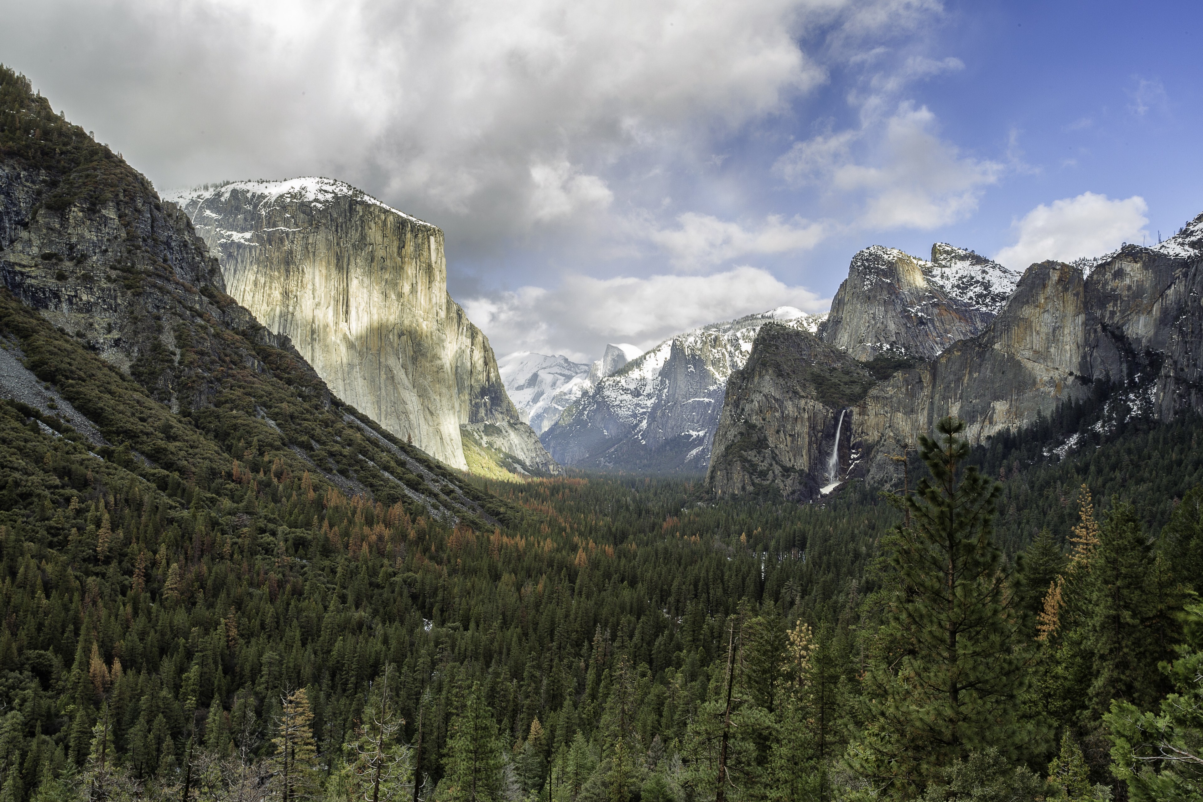 a landscape view of the wooded bottom of the yosemite valley, the valley 4k, HD Wallpaper
