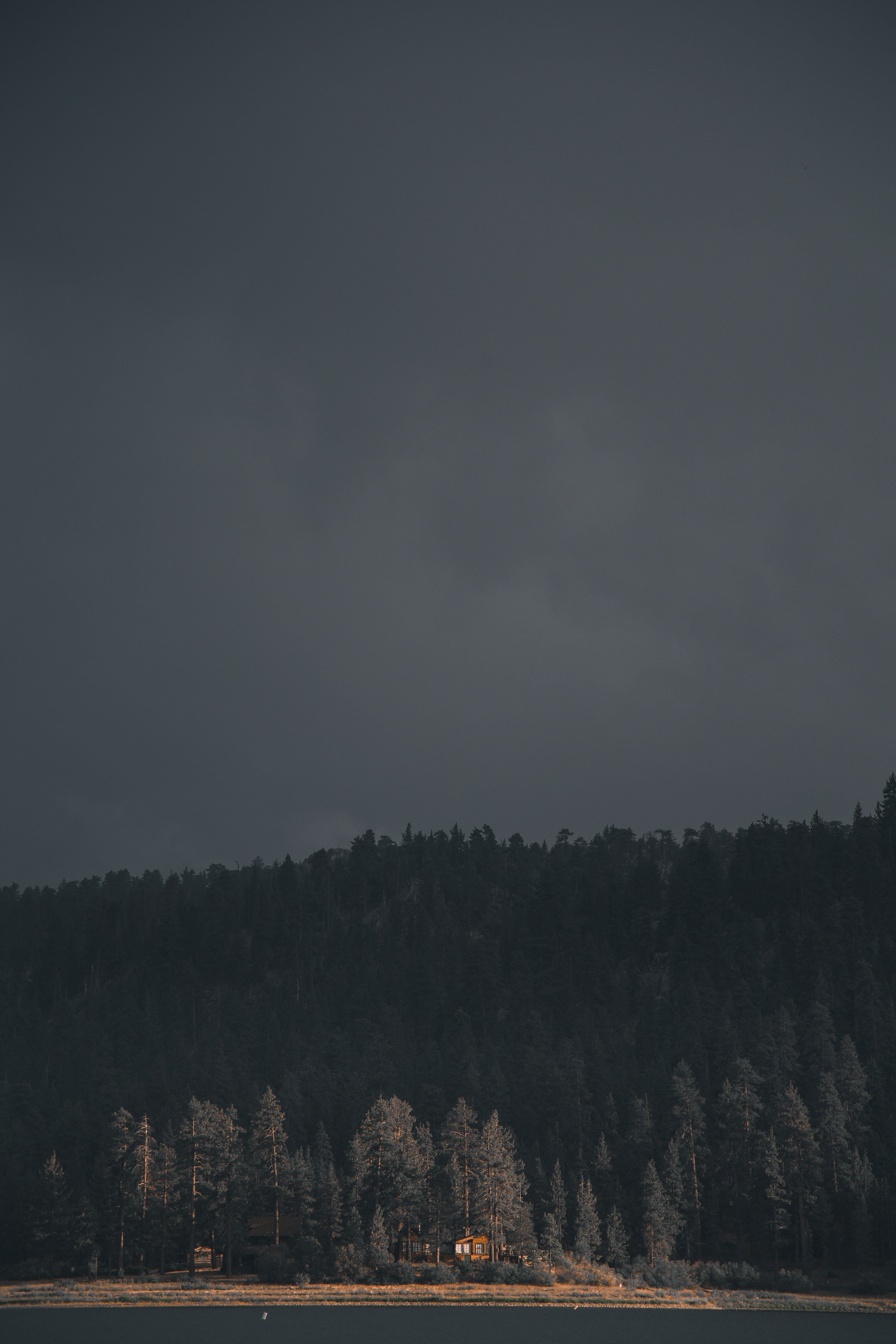 big bear sun 4k, Phone HD Wallpaper