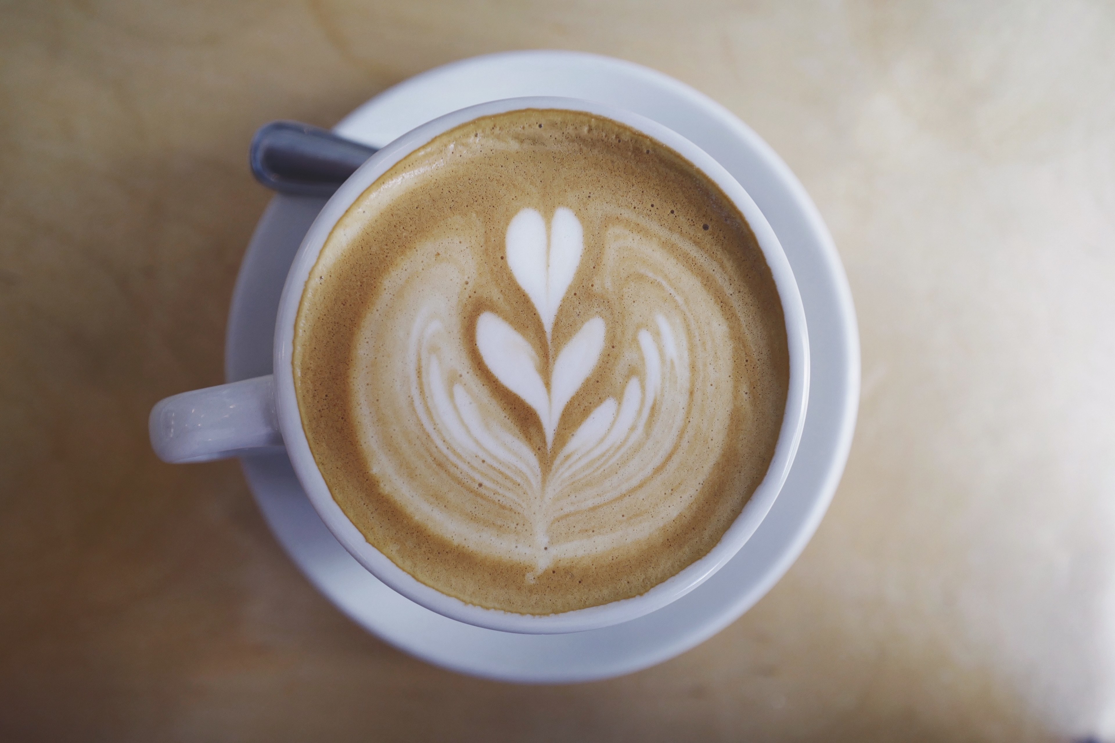 a cup of coffee with a leaf painted in the milk at two hands cafe, two hands cafe latte art 4k, HD Wallpaper