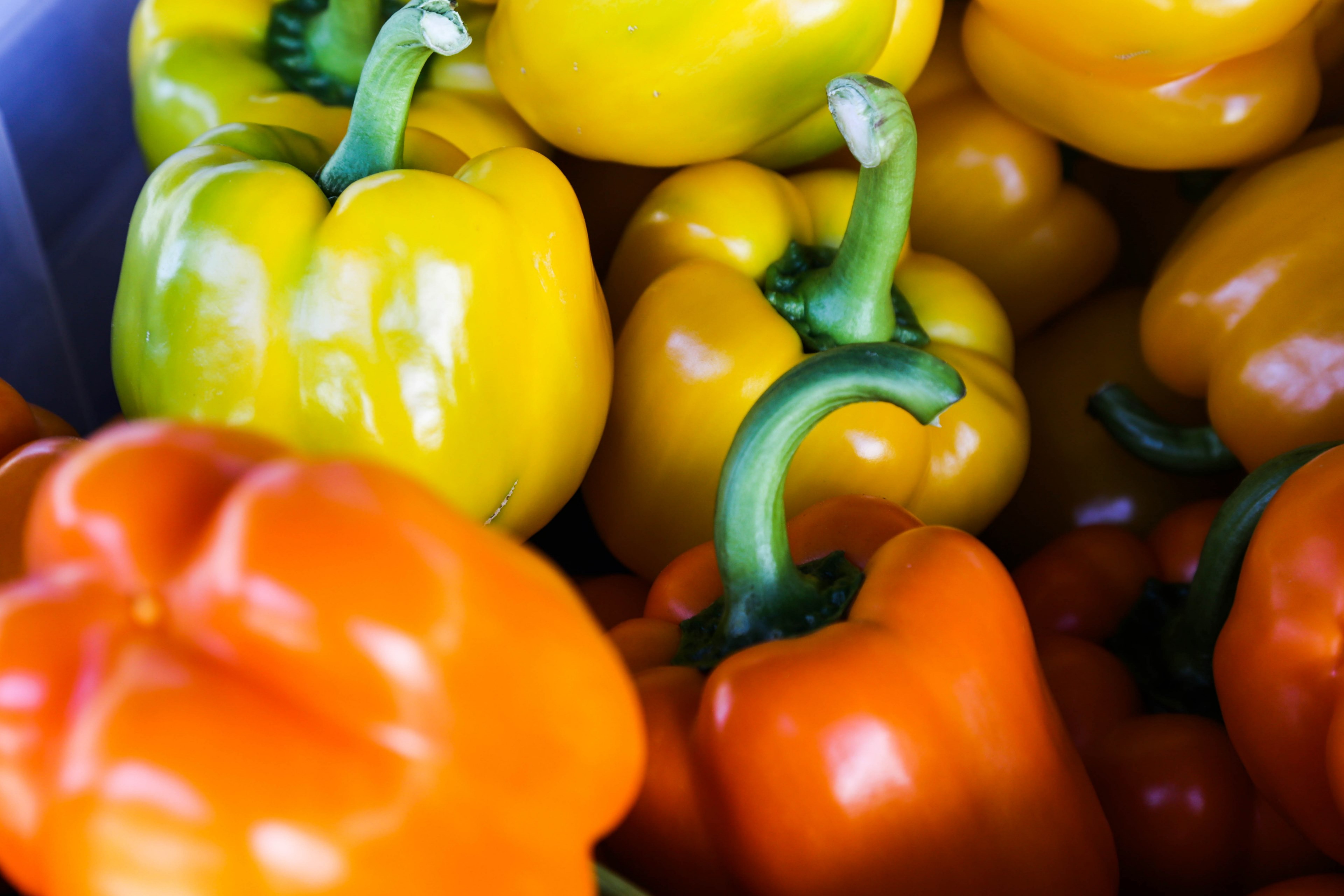close up of yellow and orange bell peppers, fresh peppers 4k, HD Wallpaper