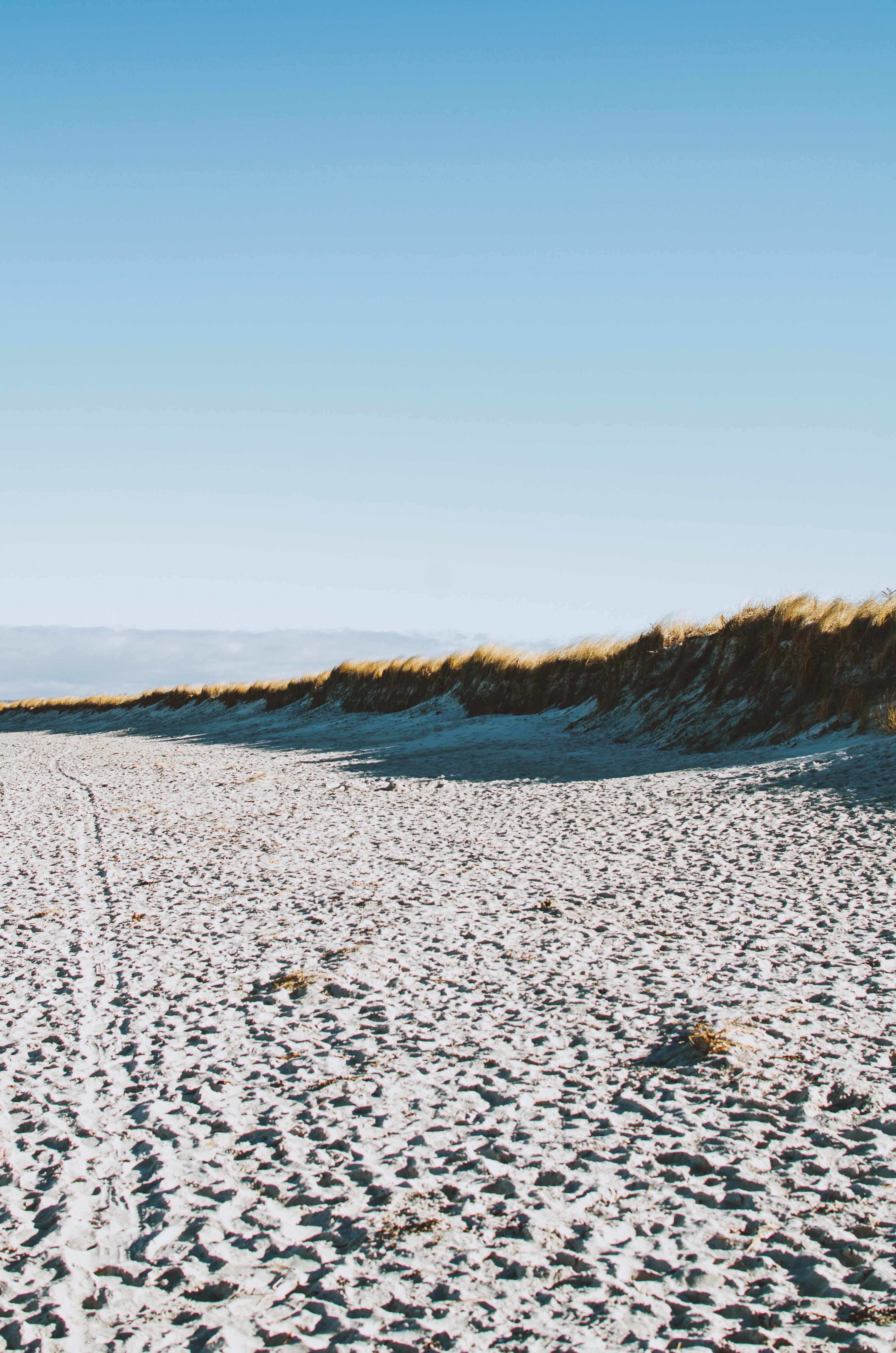 white sand beach with grass dunes, white sand beach 4k, Phone HD Wallpaper