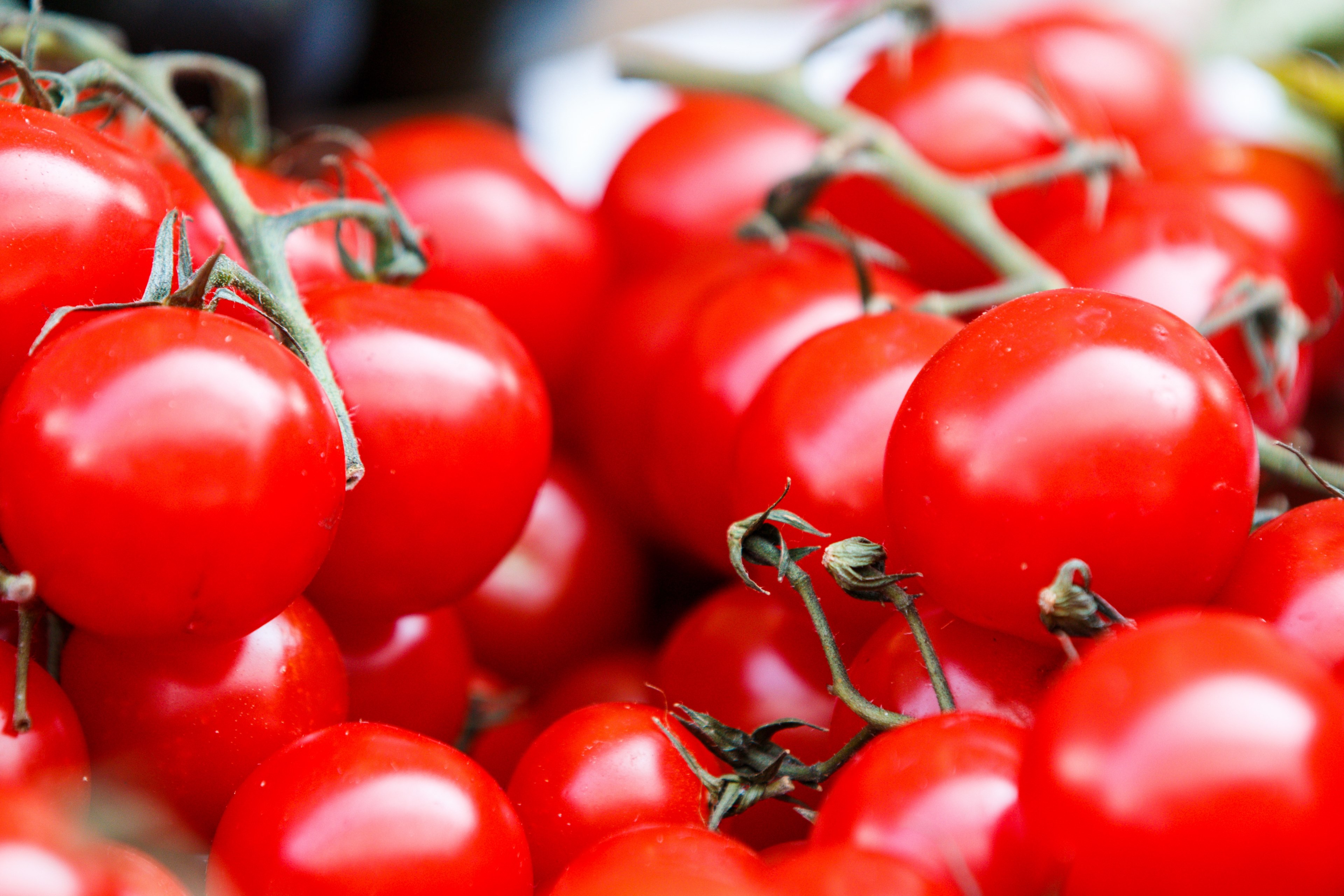 red tomatoes on the vine in torvehallerne, tomatoes for sale 4k, HD Wallpaper