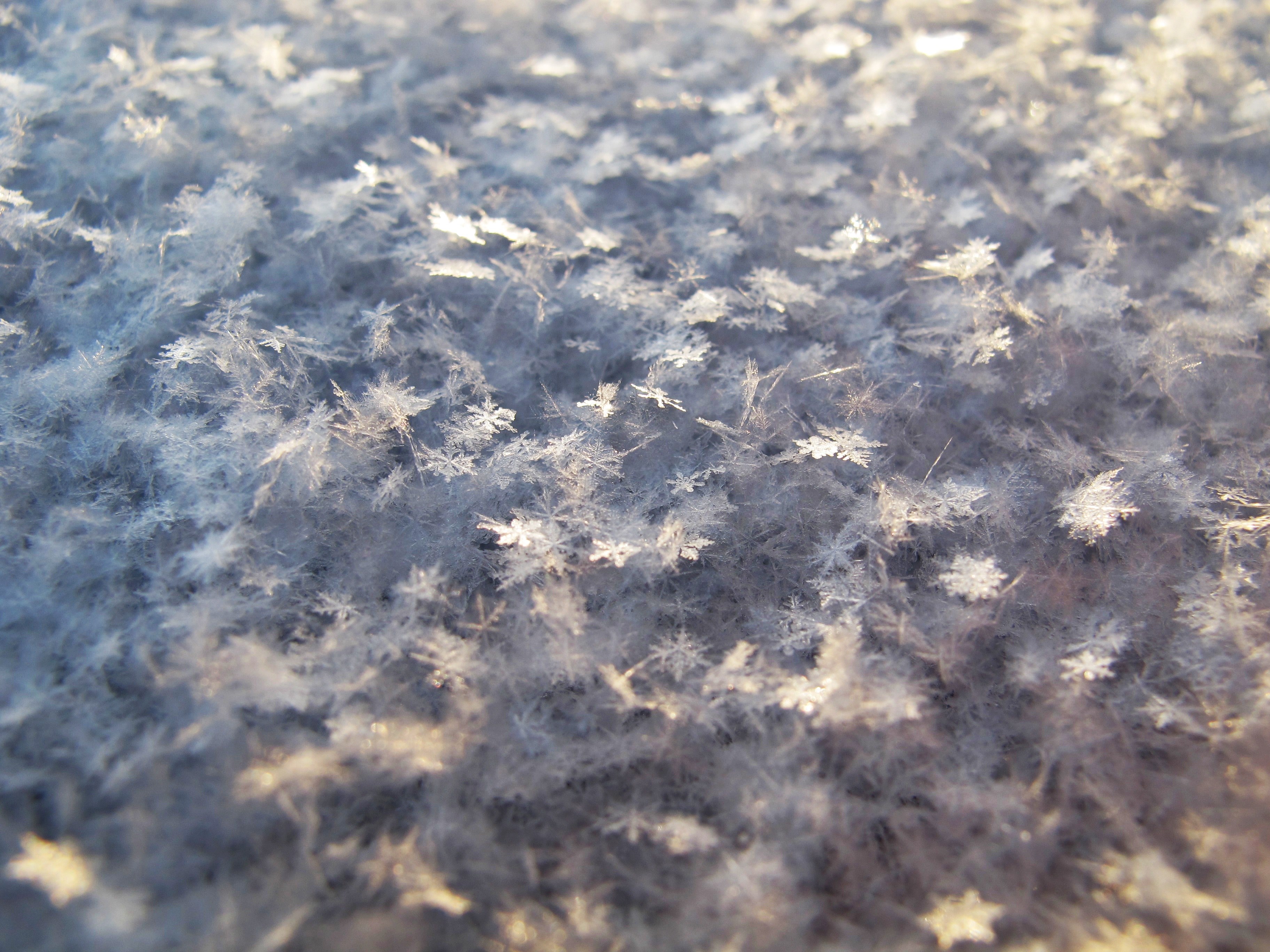 looking down at snowflakes covering the frozen winter grounds in dalsjfors sweden, snowflakes 4k, HD Wallpaper