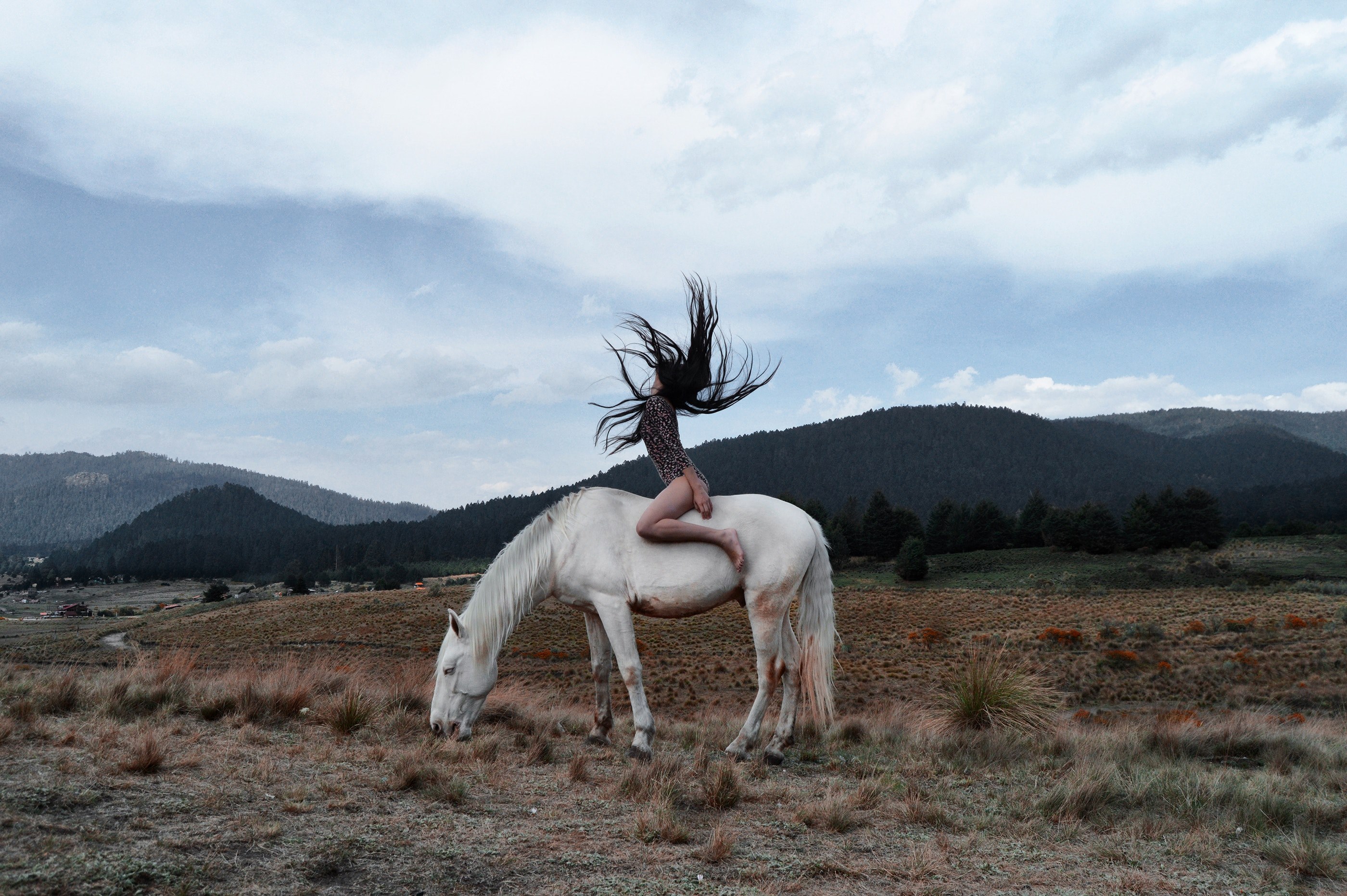 a dark haired woman throwing her head back on a white horse her head back, young woman on a white horse 4k, HD Wallpaper