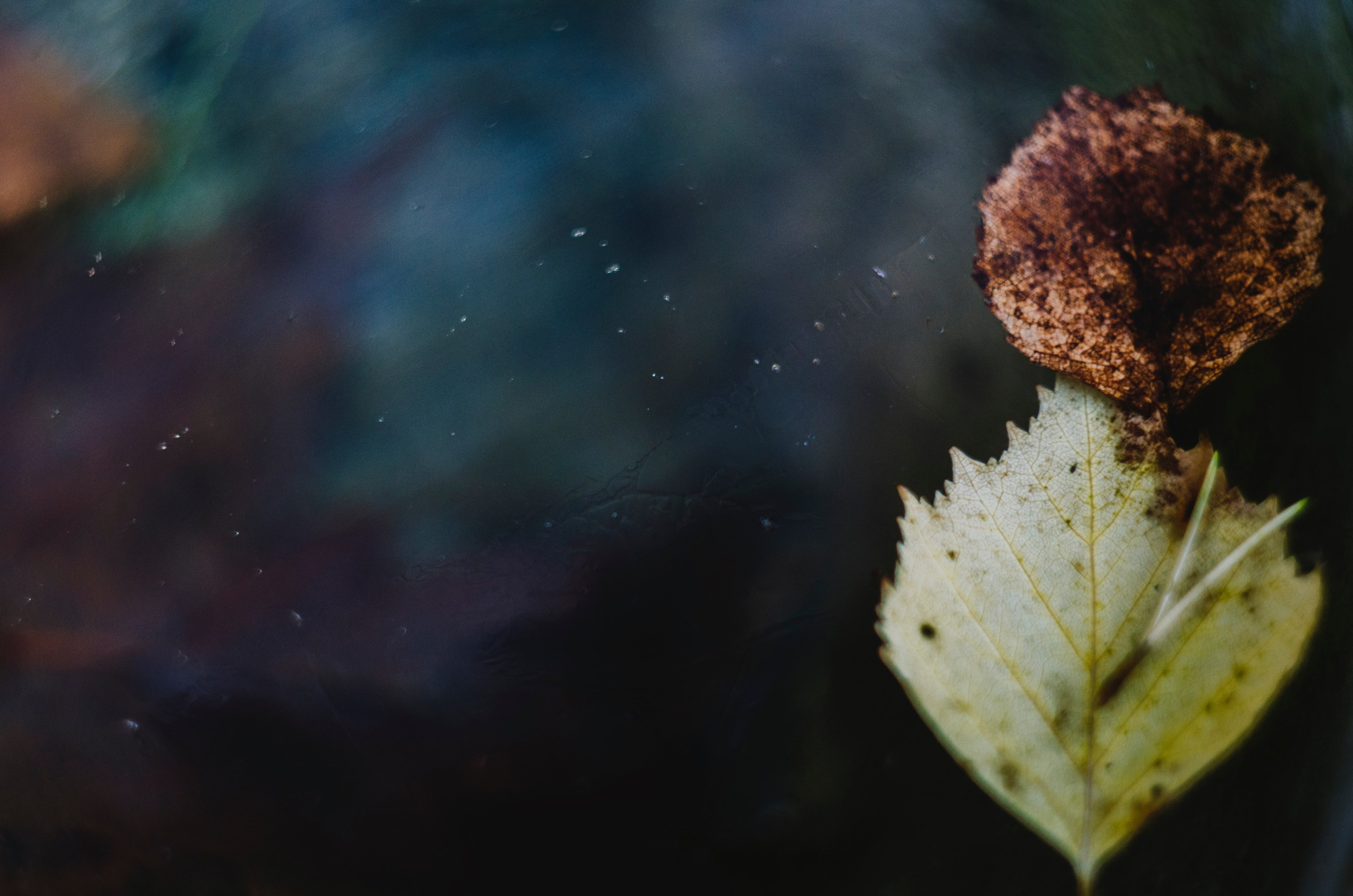  just before the sleep 3 4k, HD Wallpaper