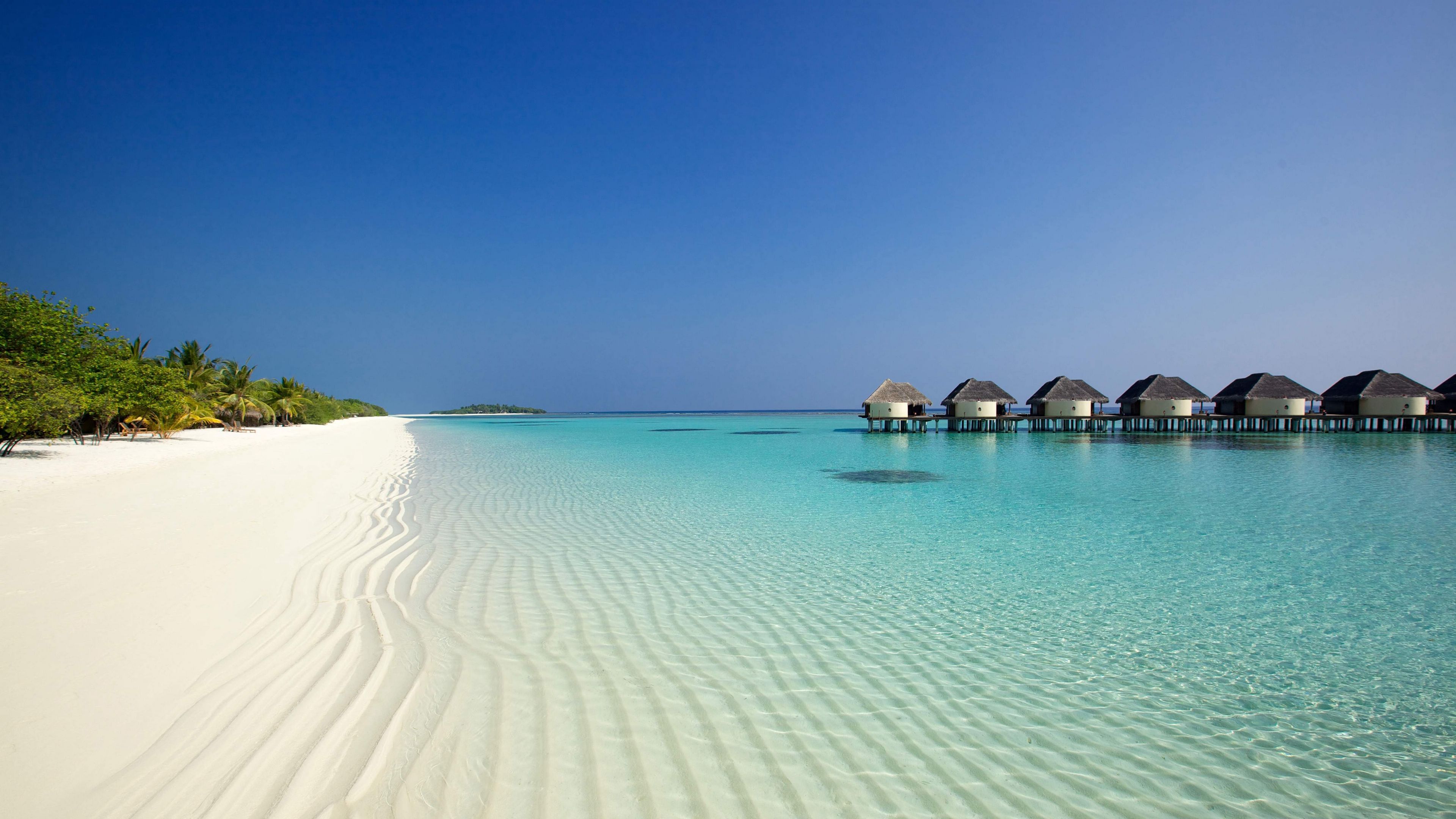 beach, ocean, sand, palm trees, bungalows, 4k, HD Wallpaper