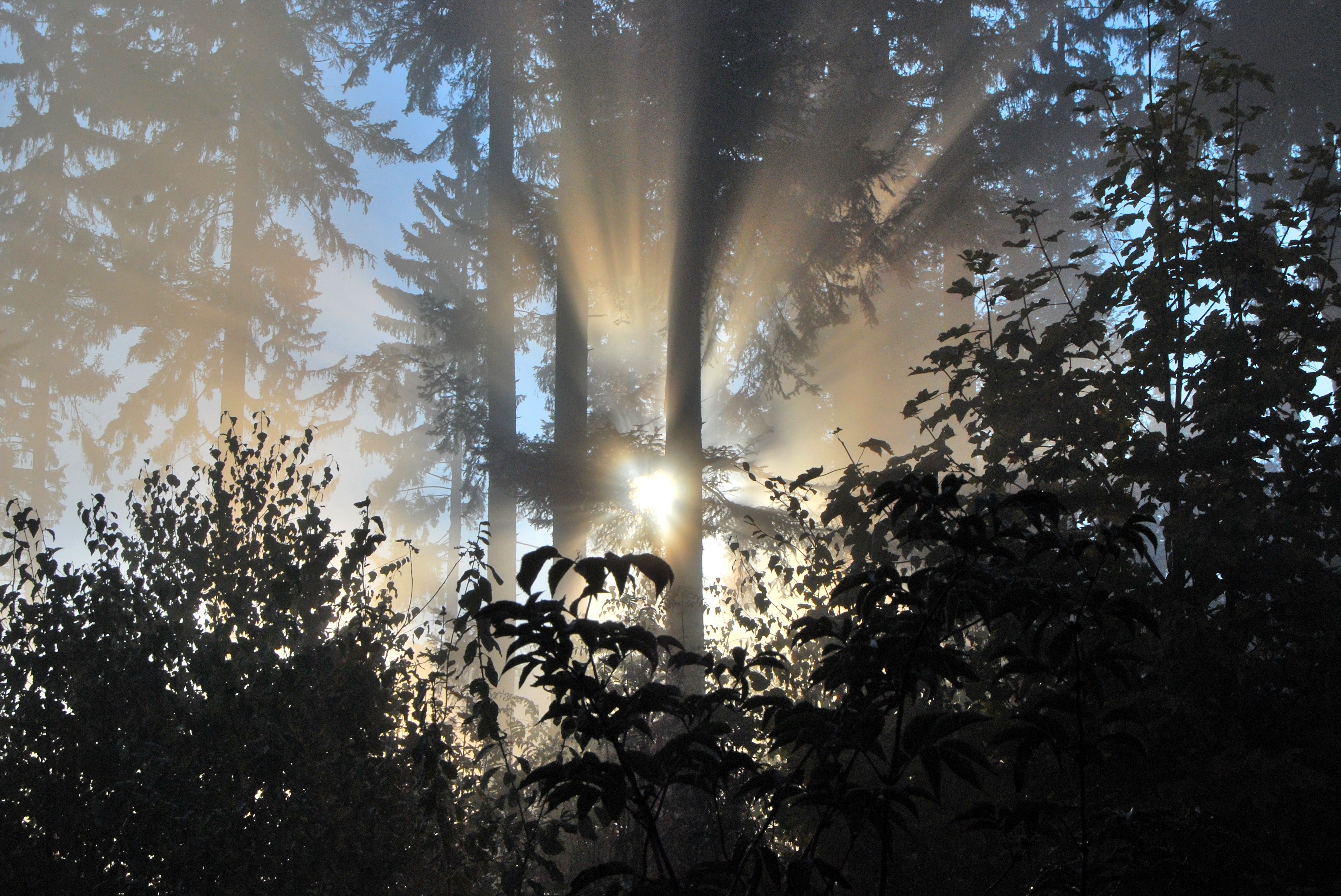 rays of sunshine 4k, HD Wallpaper