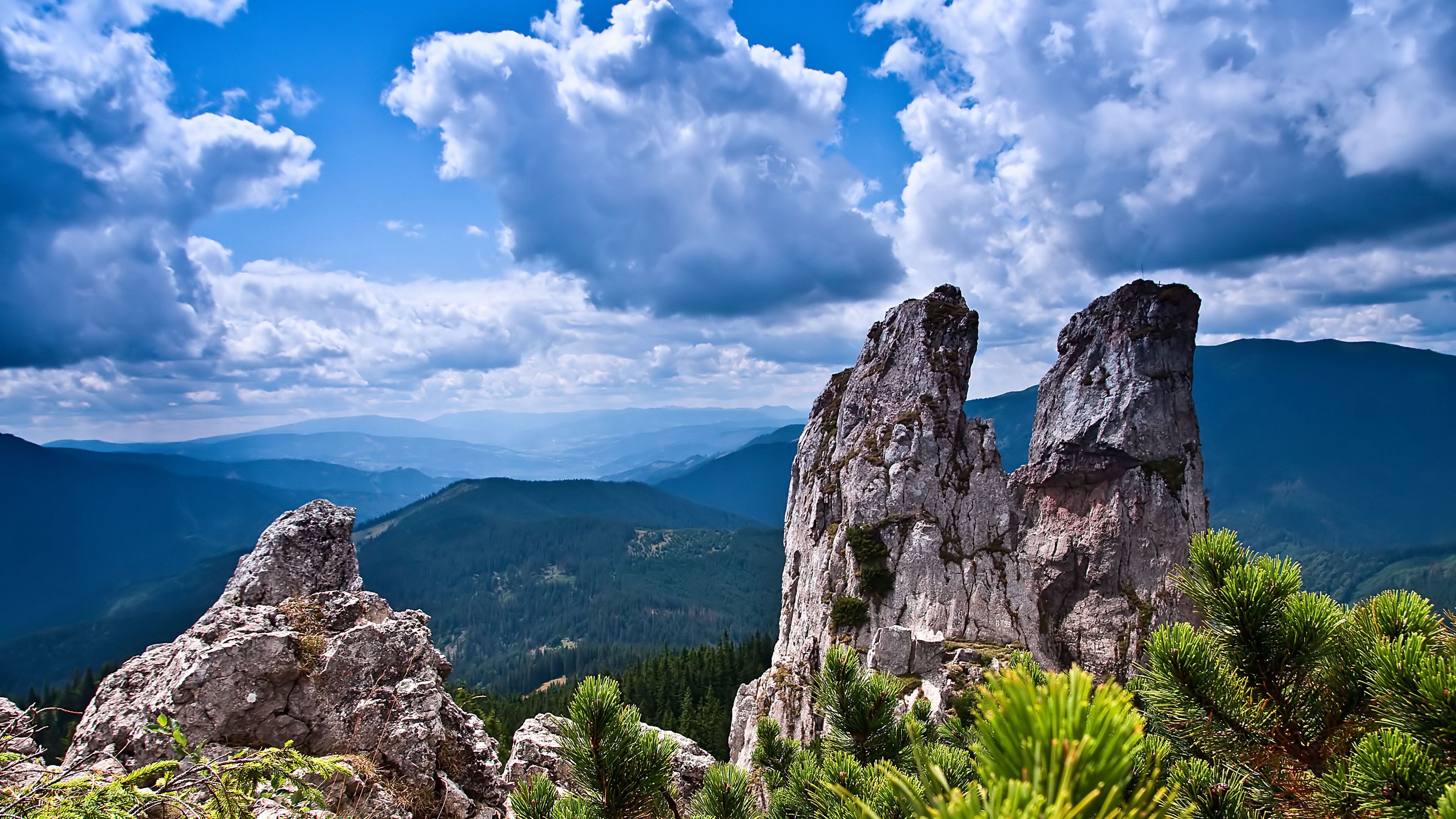 rocks, mountains, bushes, trees, sky, 4k, HD Wallpaper