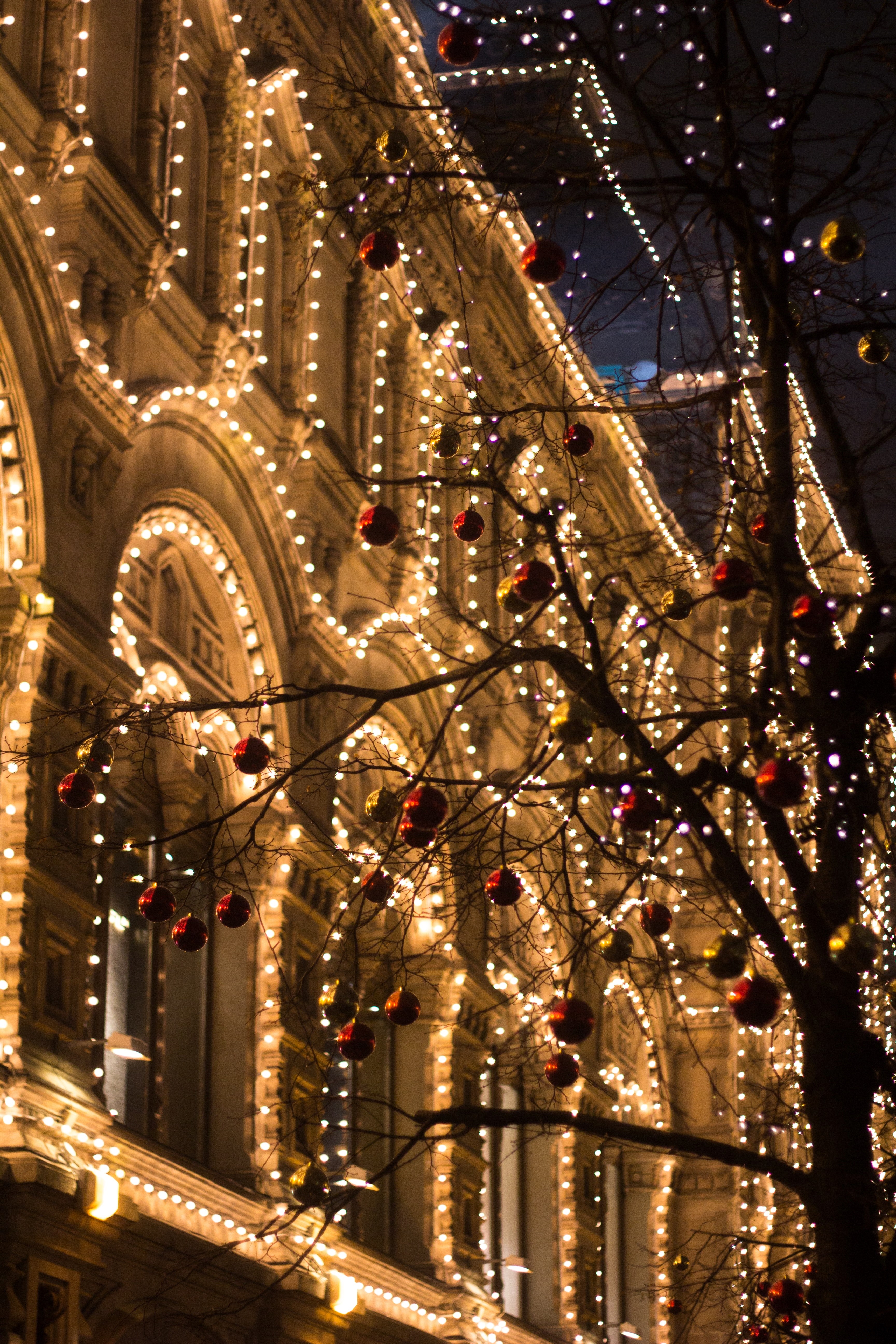 light holiday firefly and christmas decoration hd, 4k, Phone HD Wallpaper