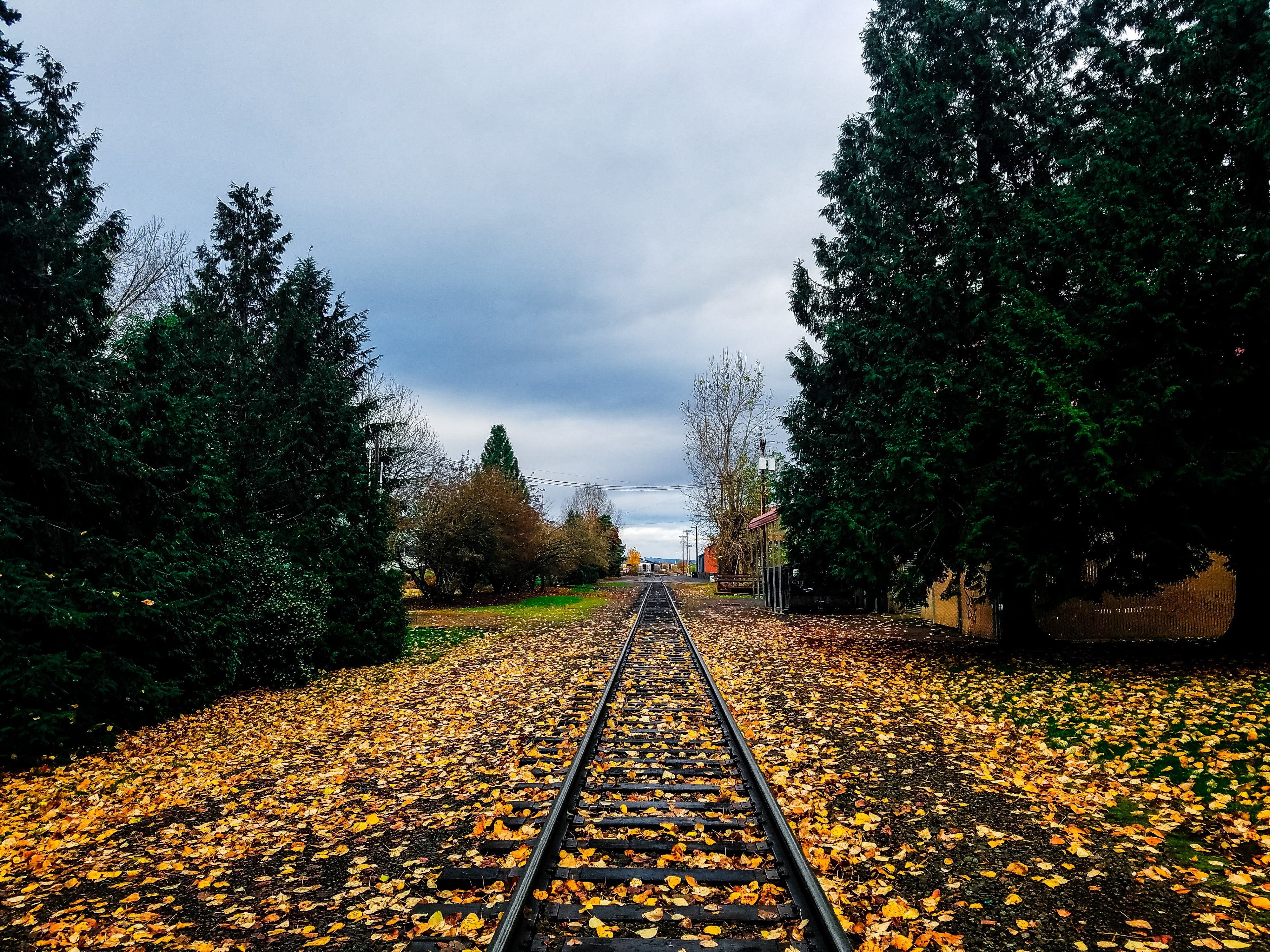 heading north in oregon 4k, HD Wallpaper