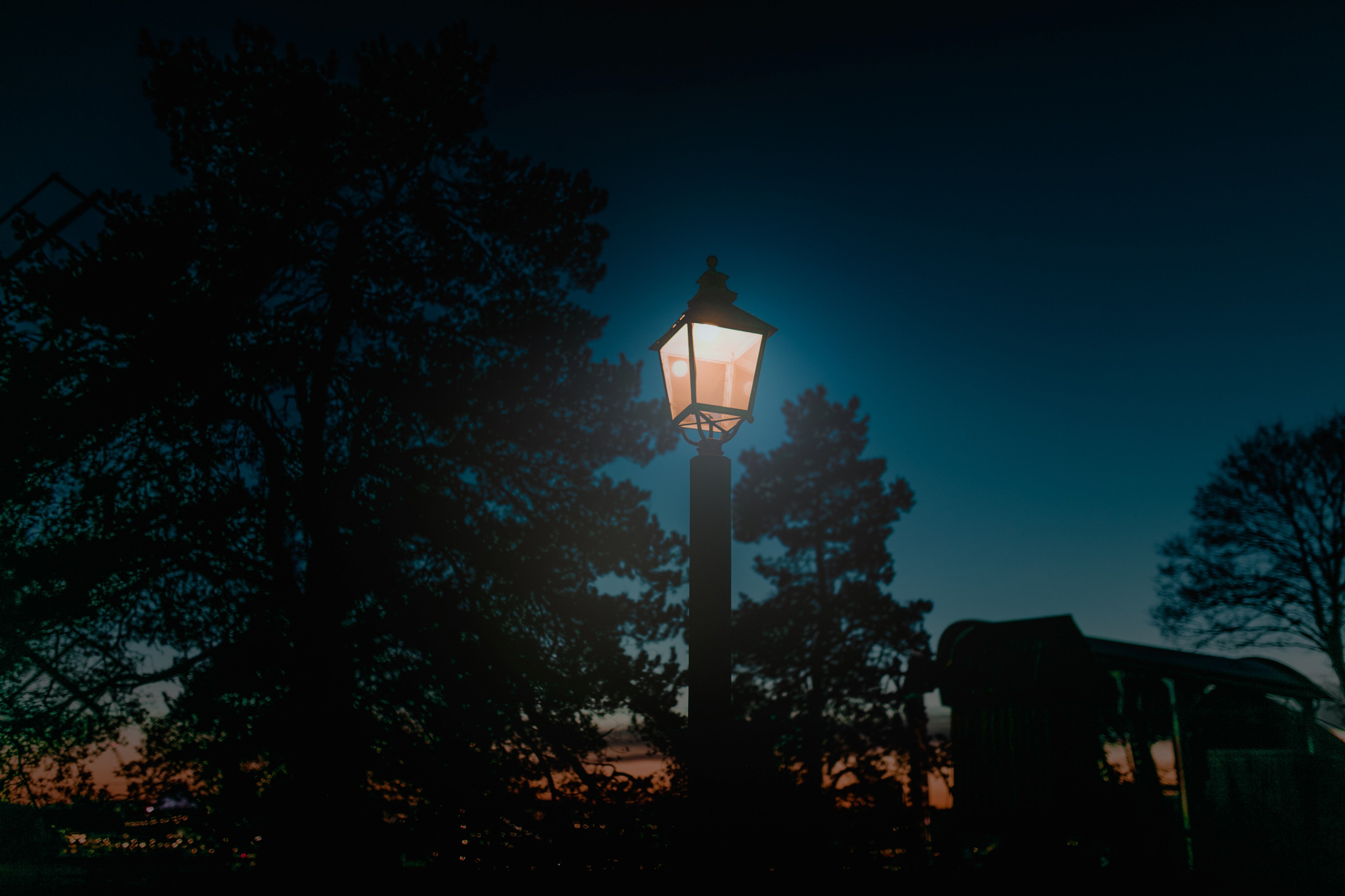 streetlight sky tree and night 4k, HD Wallpaper