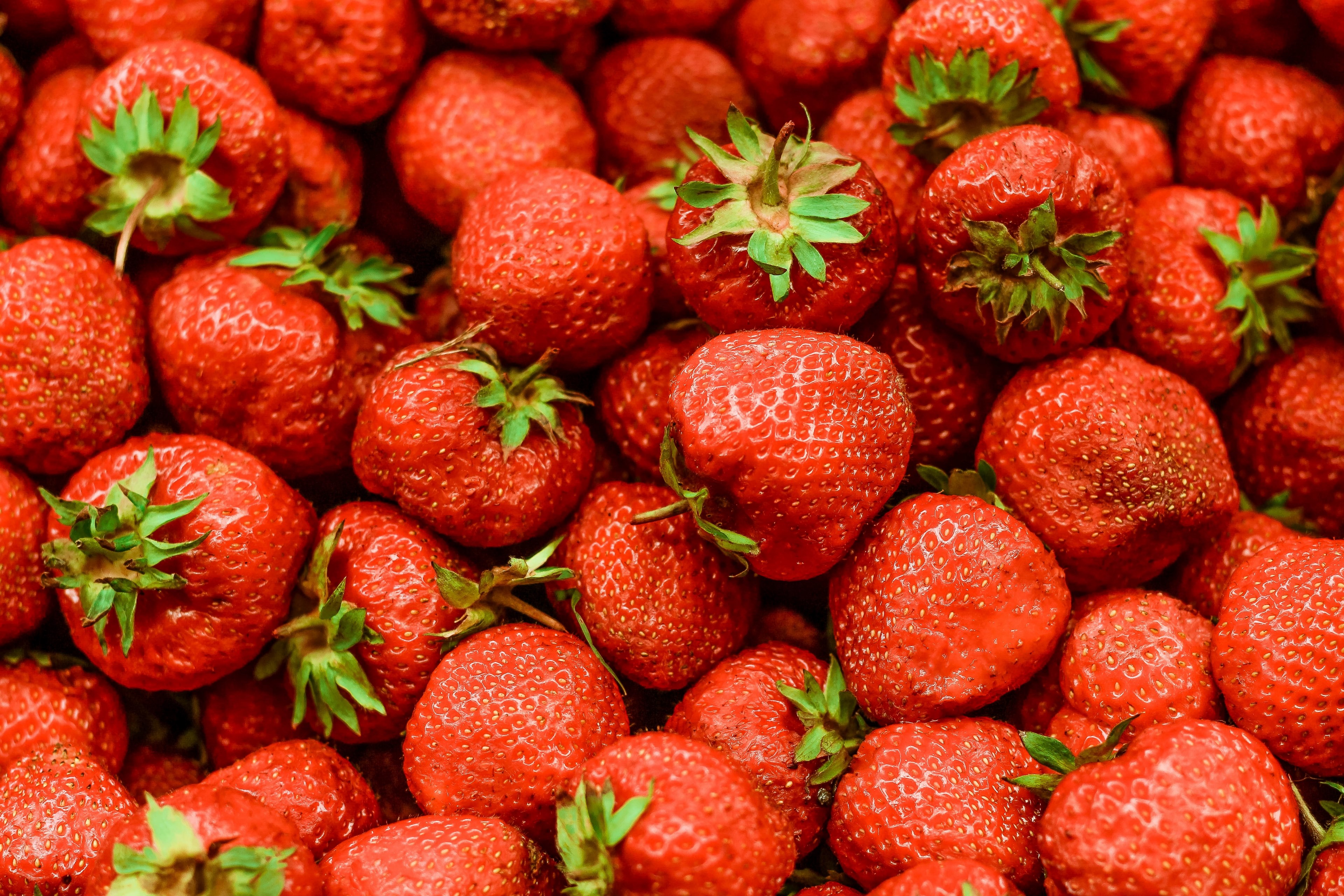 pile of fresh strawberries with green tops, pile of berries 4k, HD Wallpaper