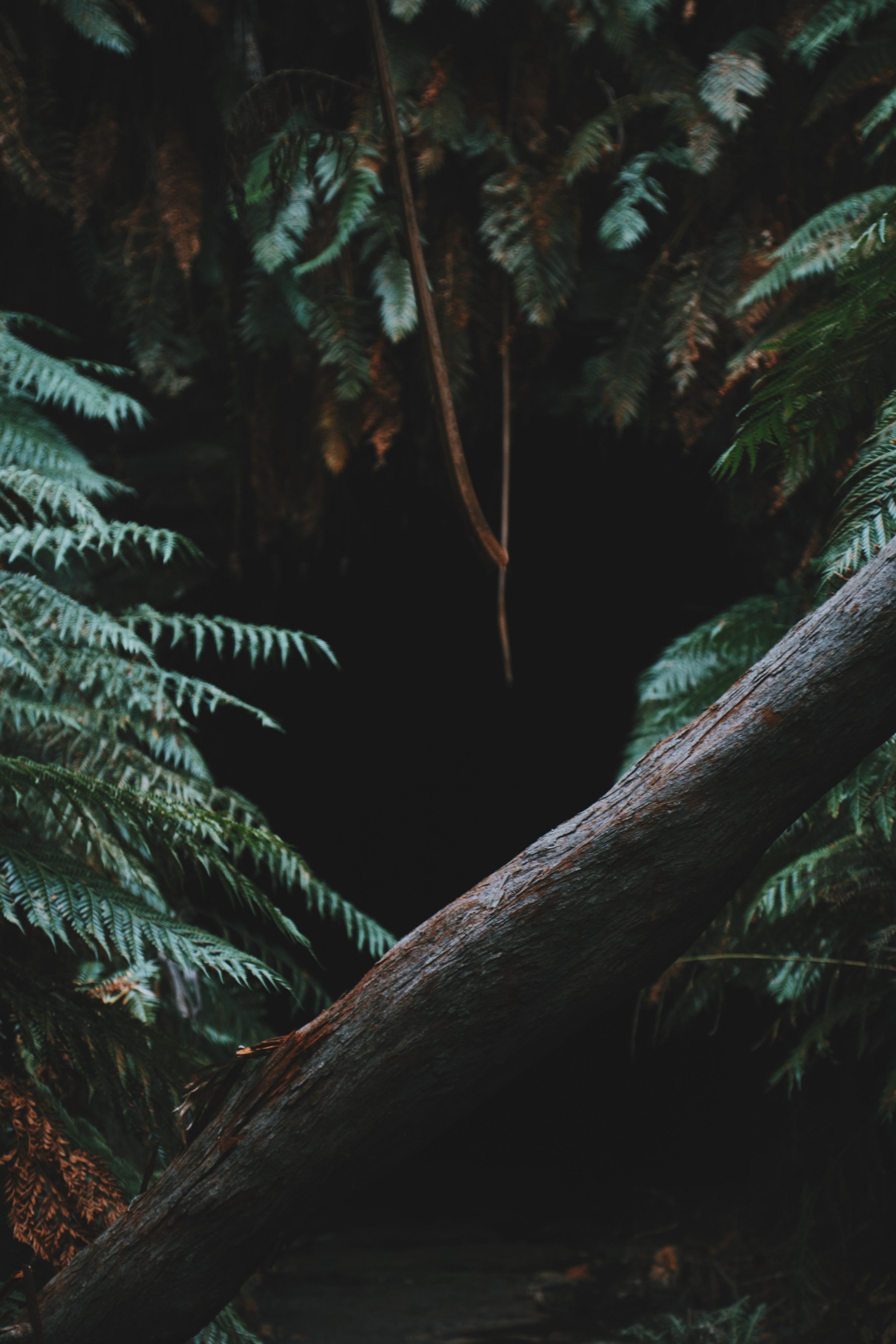 lets get lost 4k, Phone HD Wallpaper