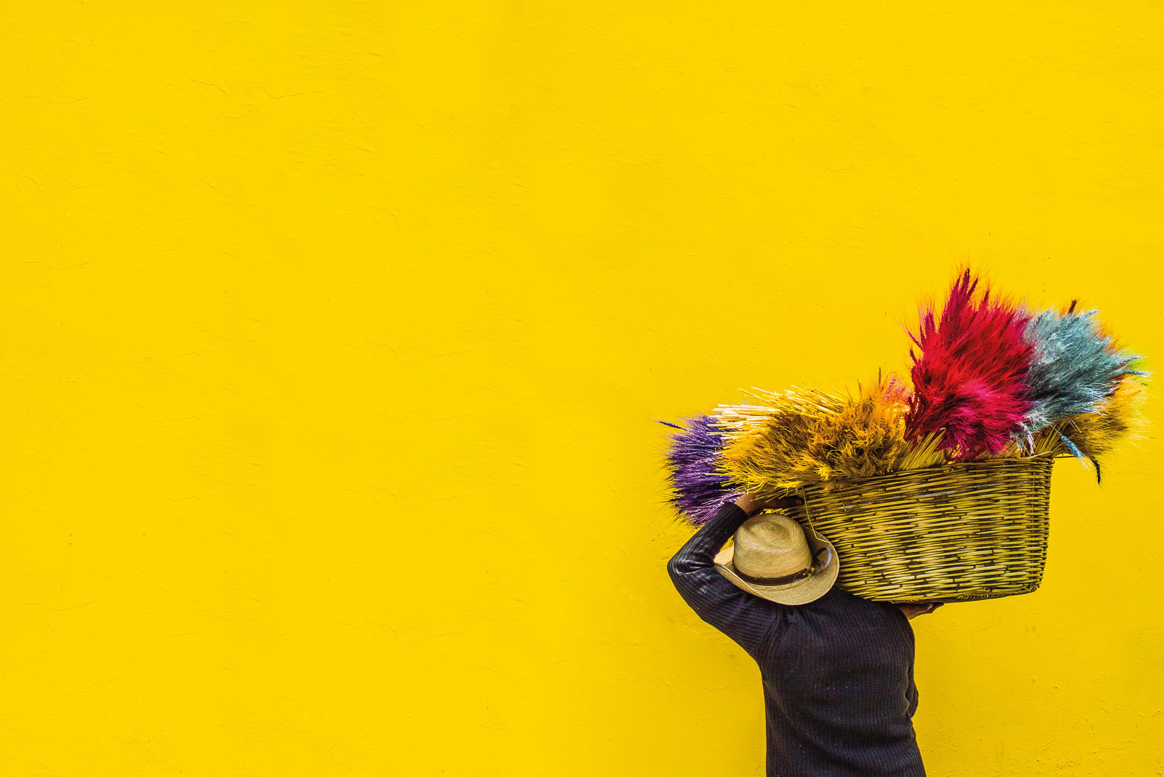 the colors 4k, HD Wallpaper