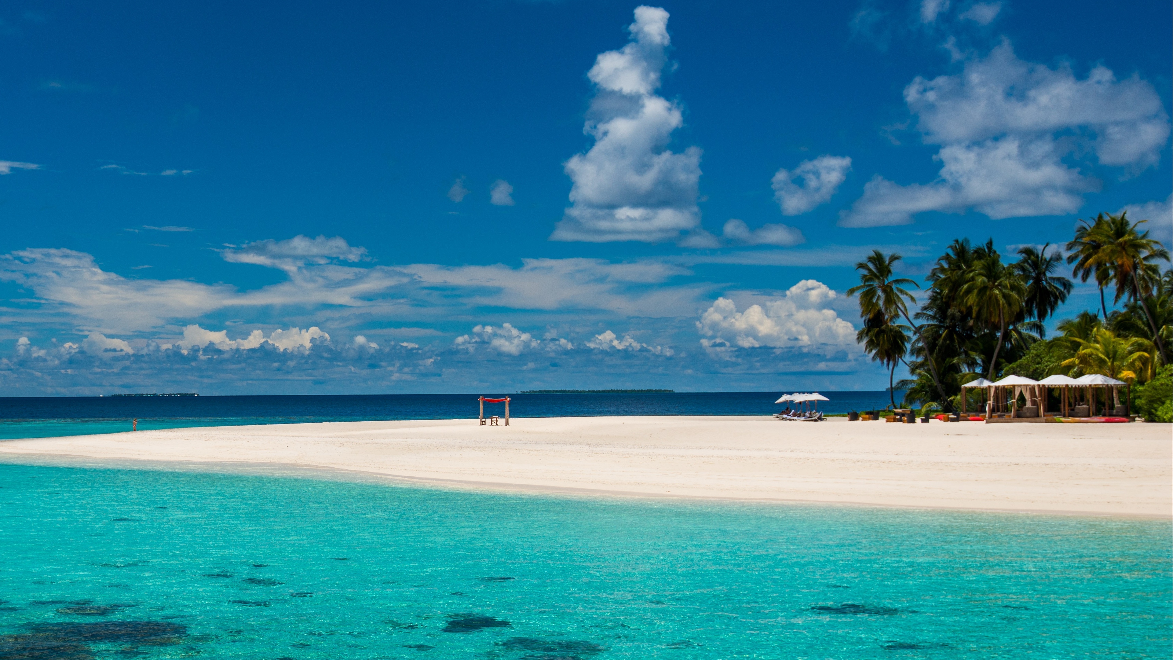 maldives, tropics, beach, palm trees, resort, 4k, HD Wallpaper