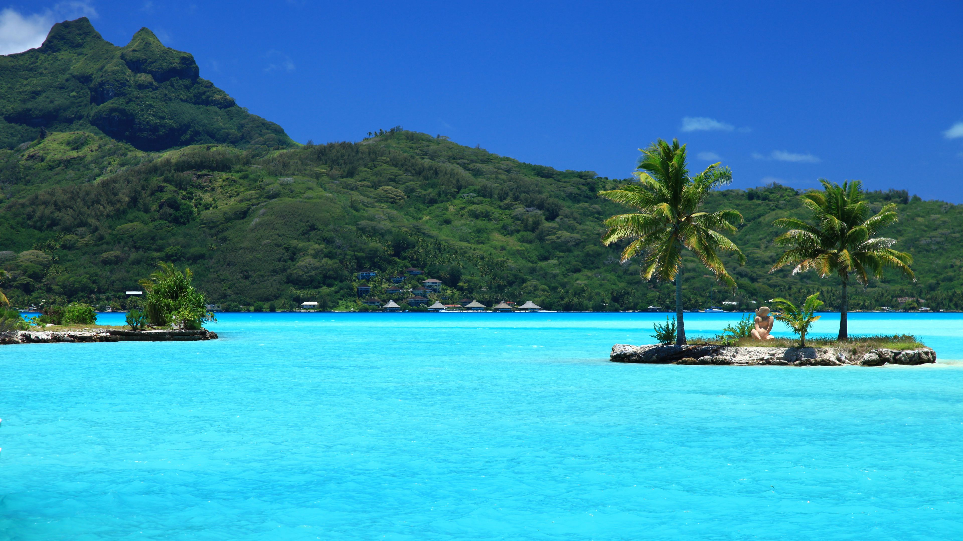 tropical, island, palm trees, 4k, HD Wallpaper