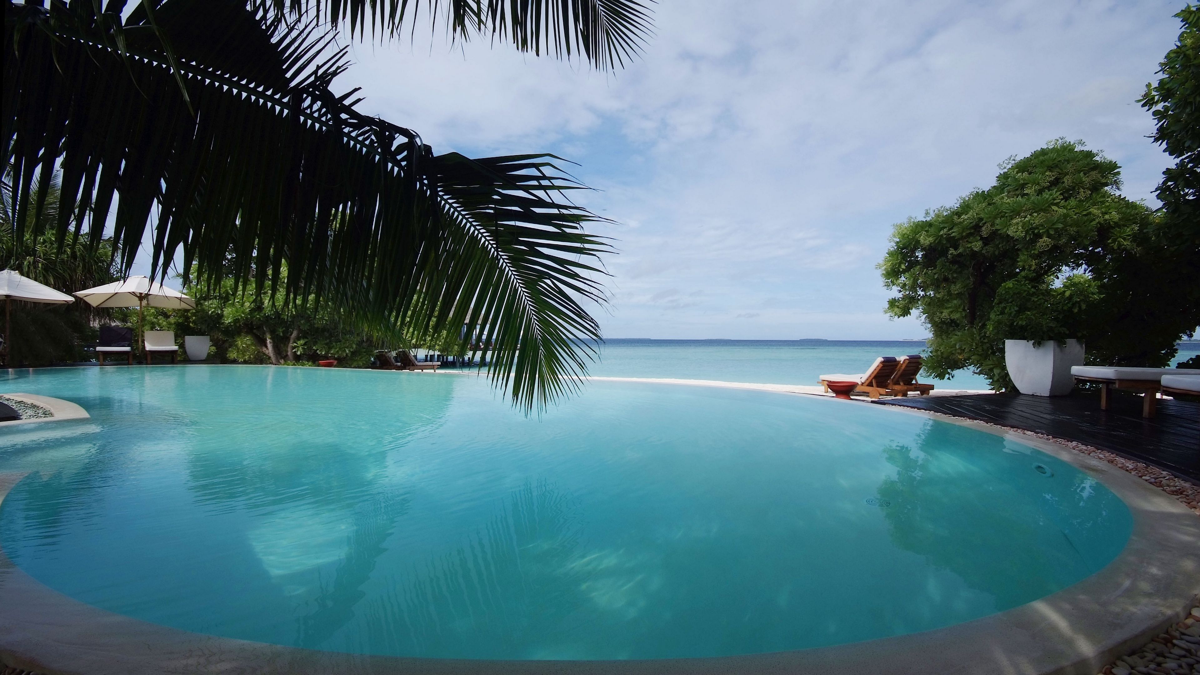 tropics, swimming pool, palm trees, 4k, HD Wallpaper