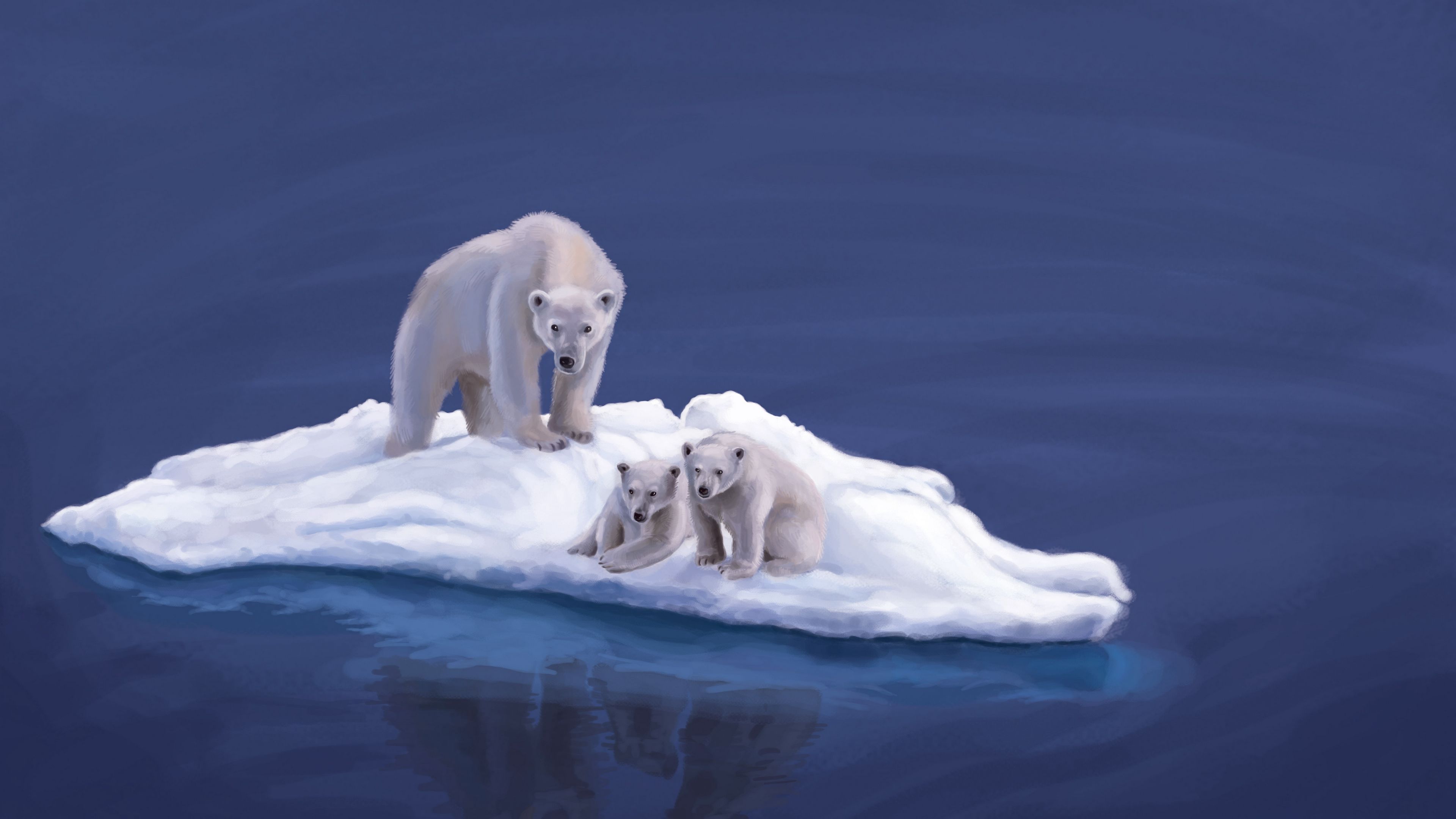 polar bears, drawing, island, 4k, HD Wallpaper