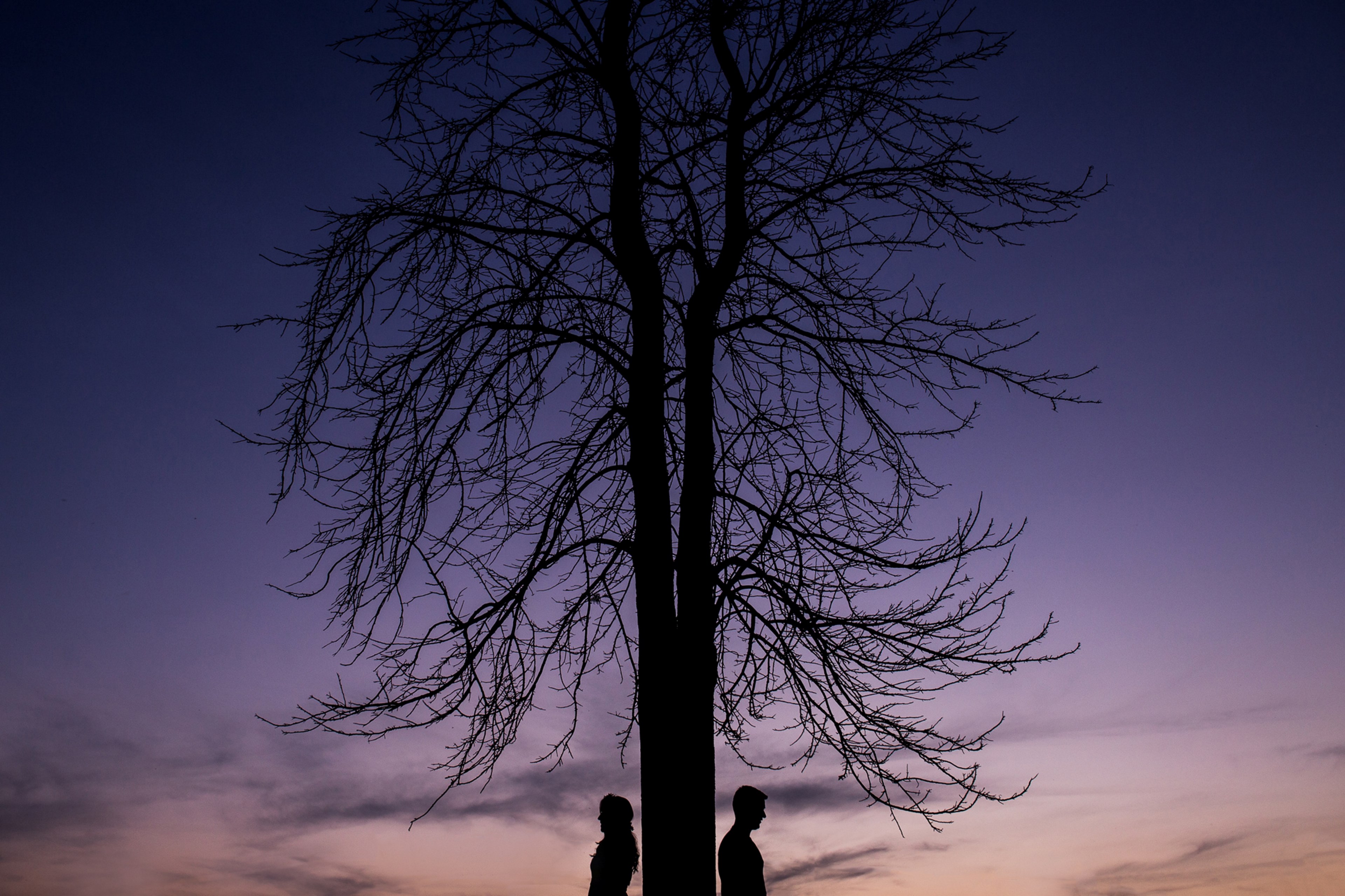 wedding photography wedding day and sunset 4k, HD Wallpaper