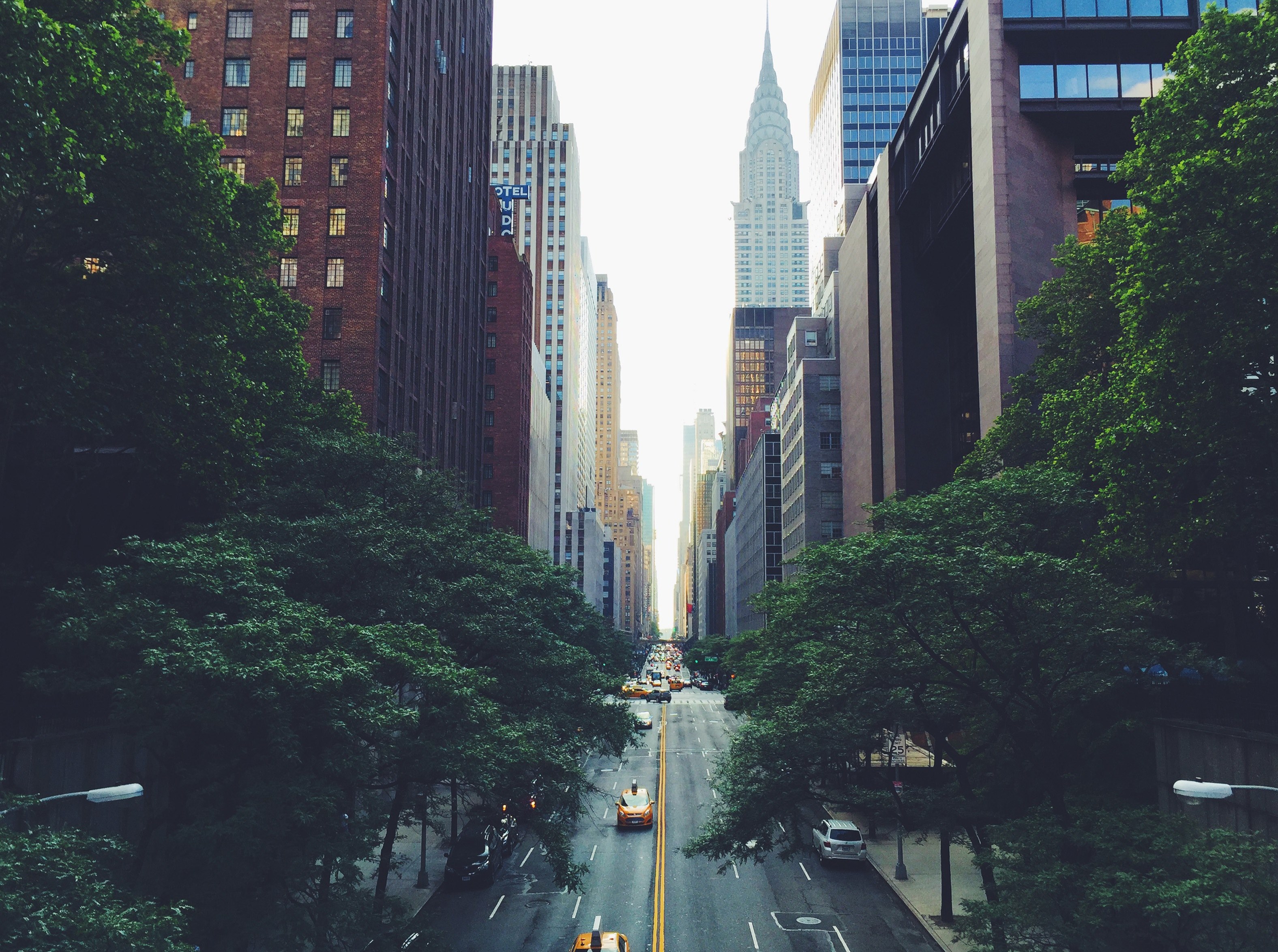 a new york city street in midtown with trees and skyscrapers on either side, a block from my favorite brunch spot 4k, HD Wallpaper