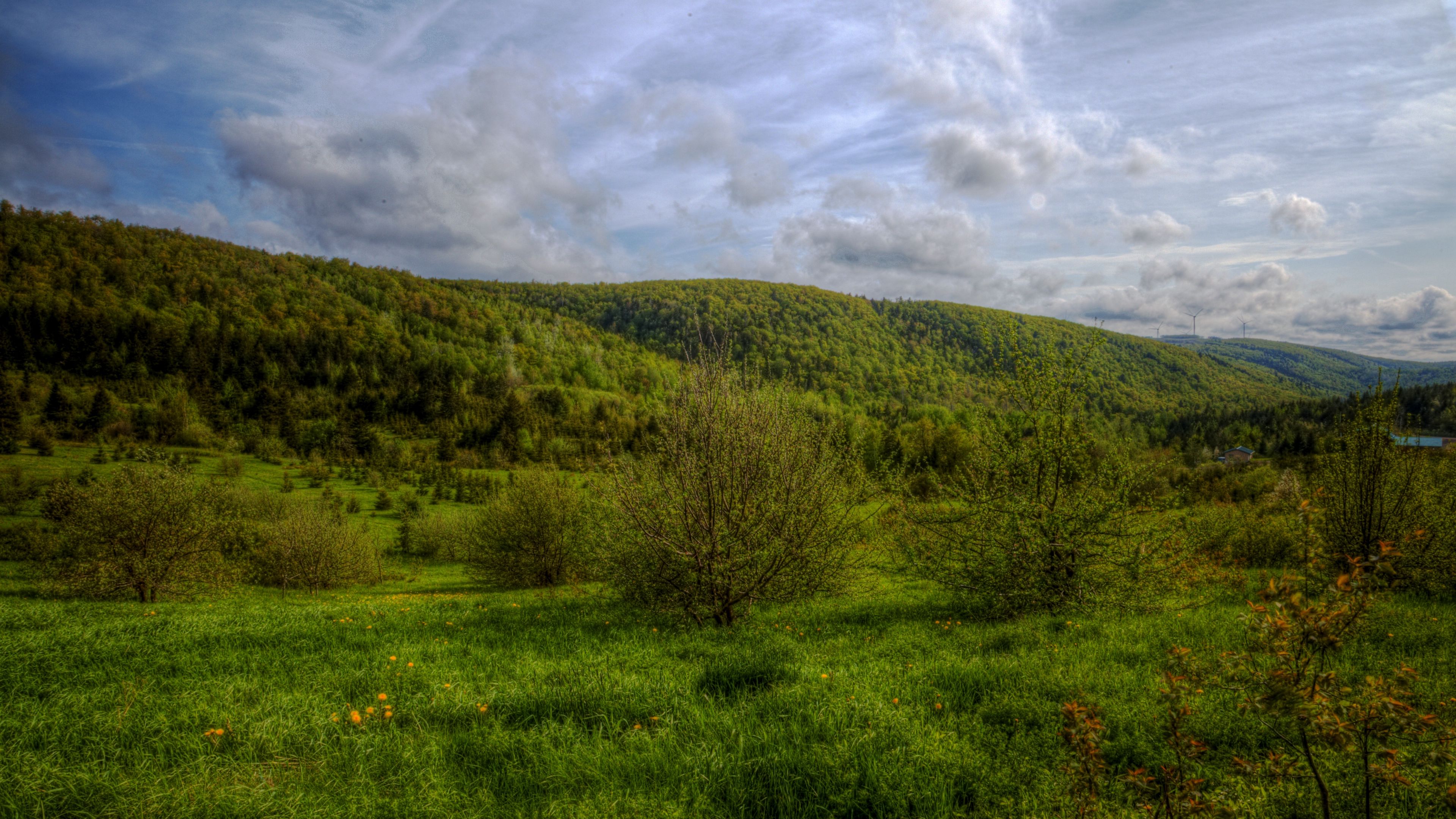 hills, trees, sky, landscape, 4k, HD Wallpaper